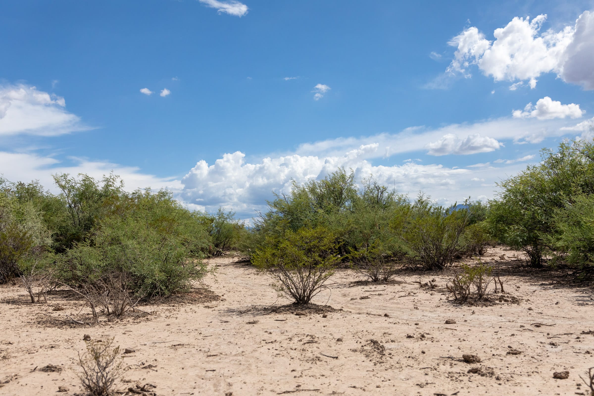 Horizon’s Edge Tract 6 photo 3