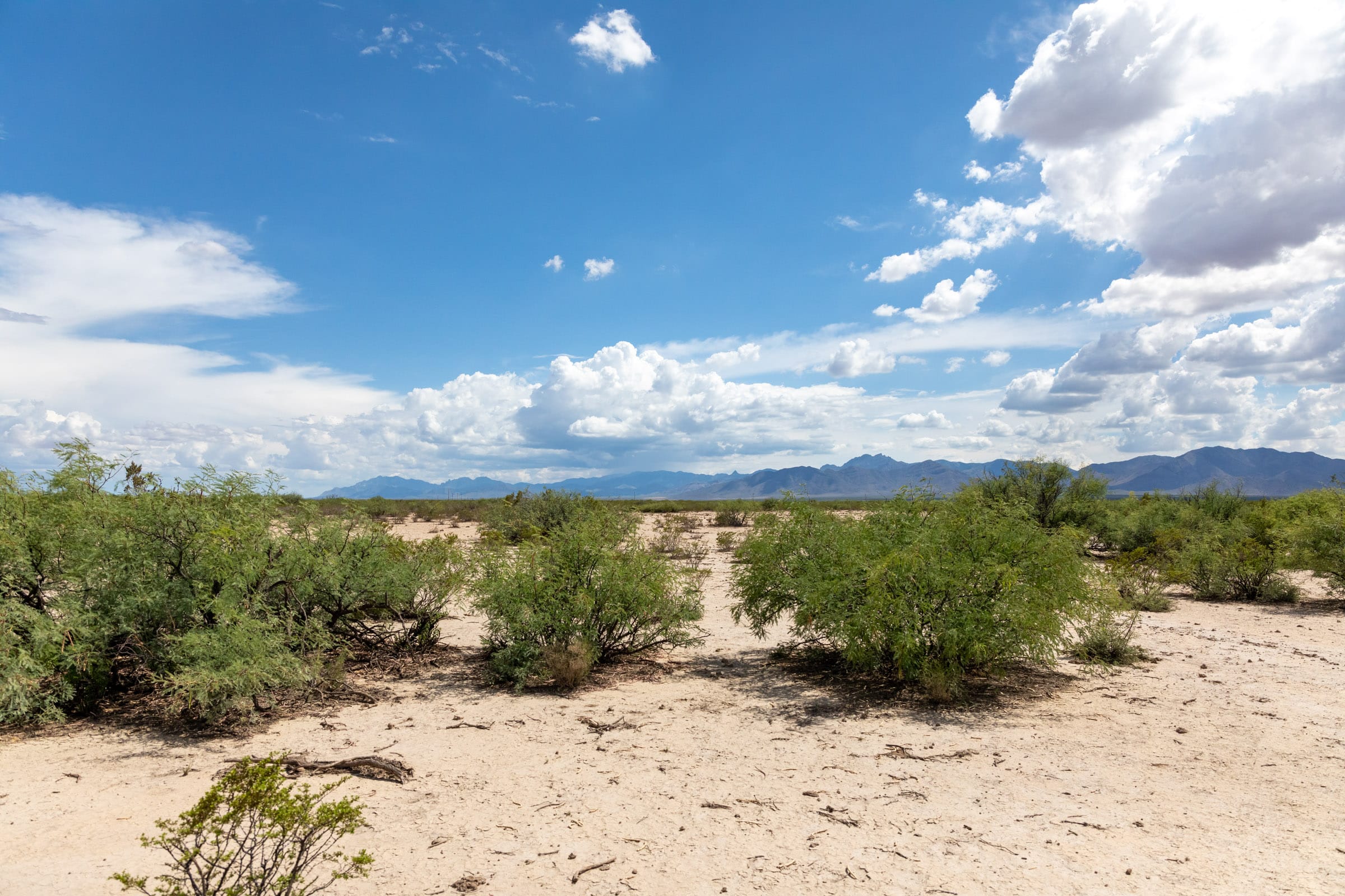 Horizon’s Edge Tract 6 photo 6