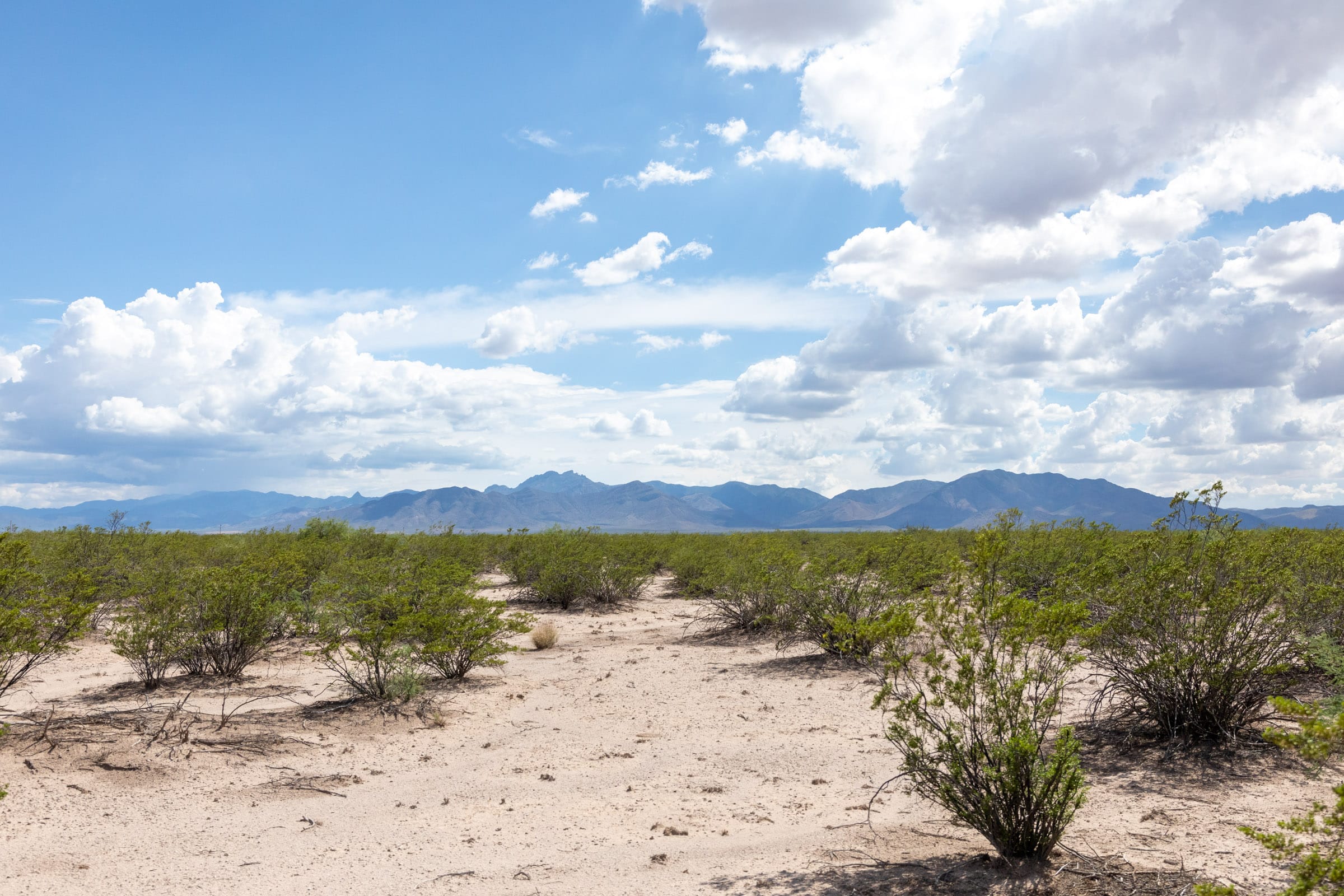 Horizon’s Edge Tract 6 photo 7