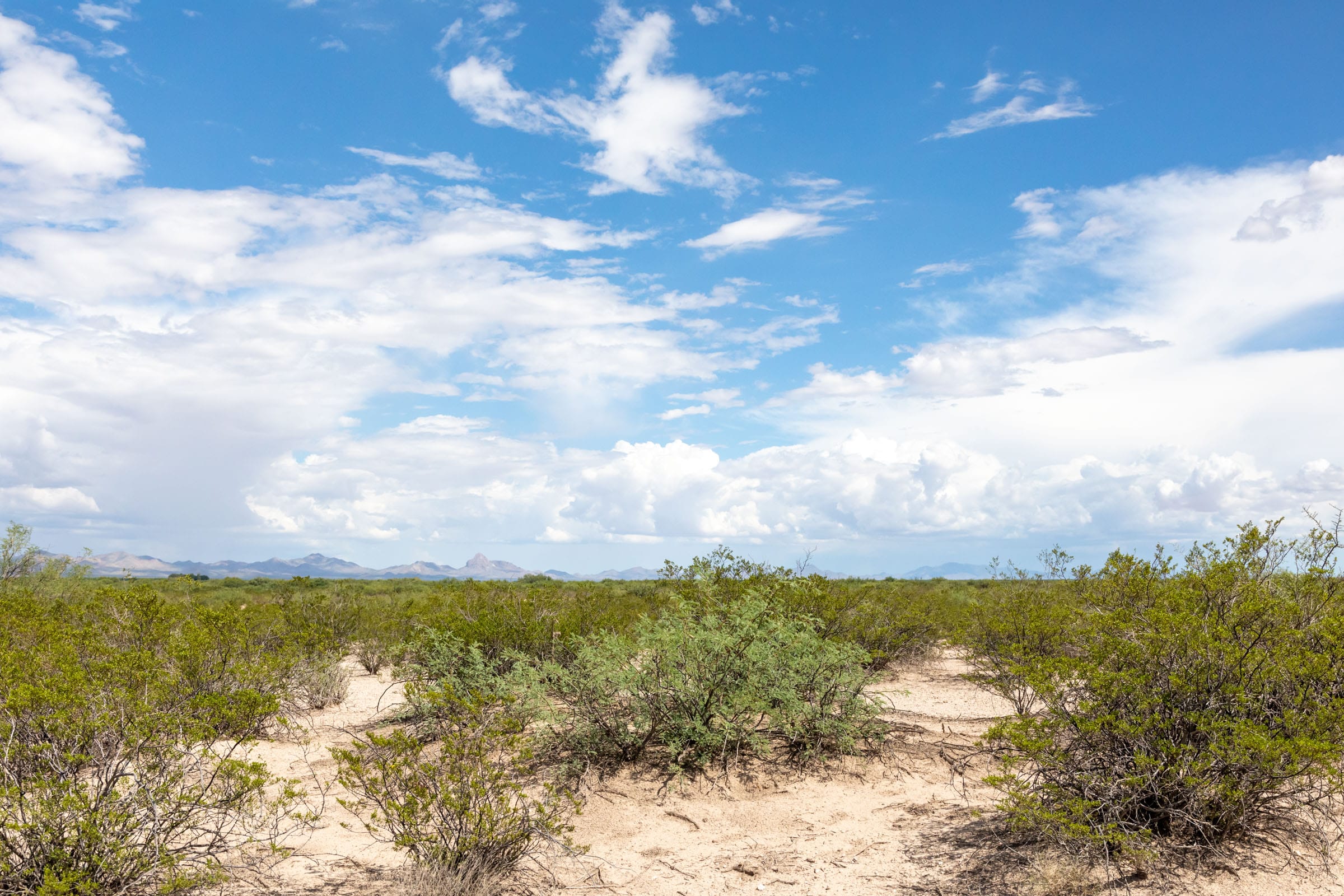 Horizon’s Edge Tract 6 photo 8