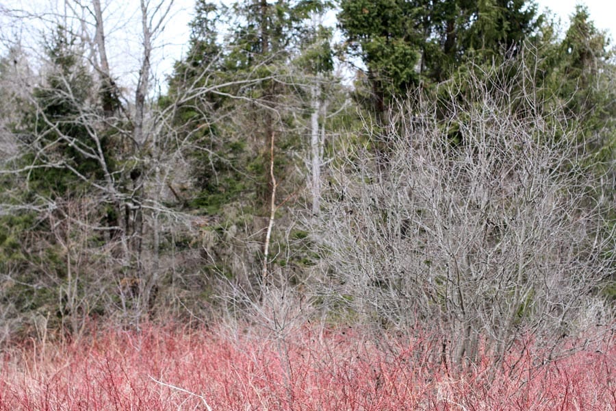 Sunrise Estates Tract 4 photo 12