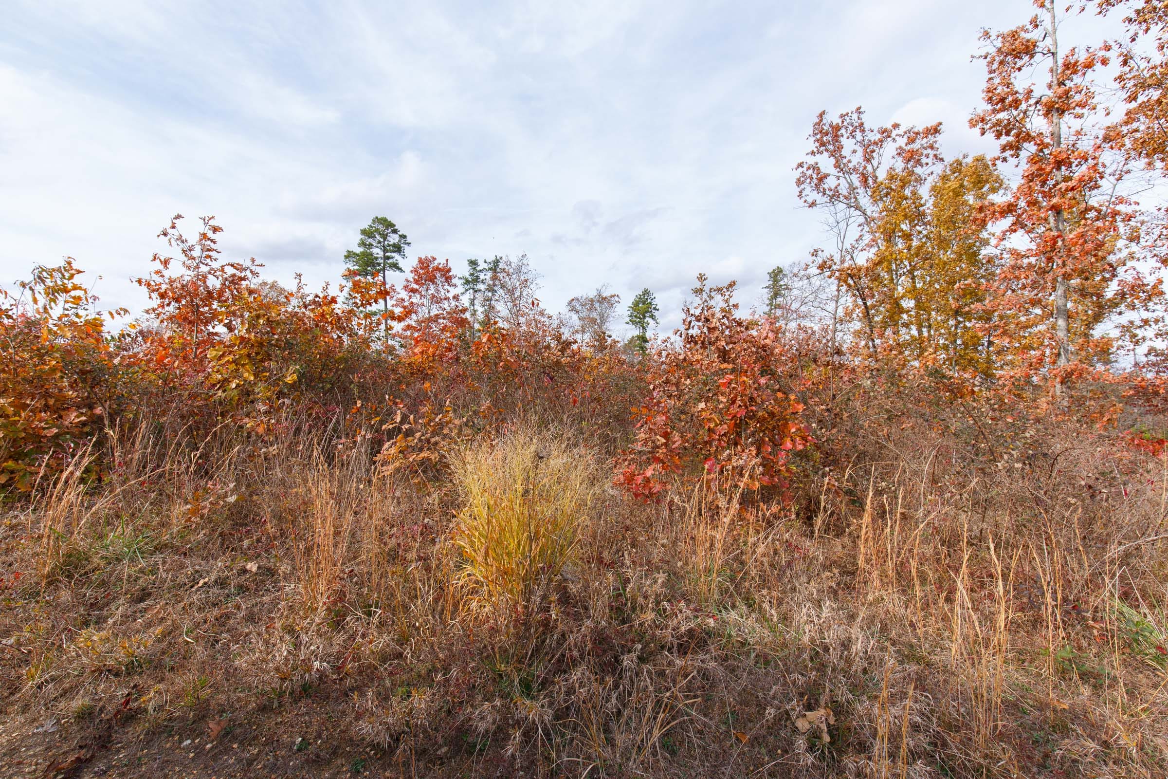 Hawkcrest Tract 33 photo 3