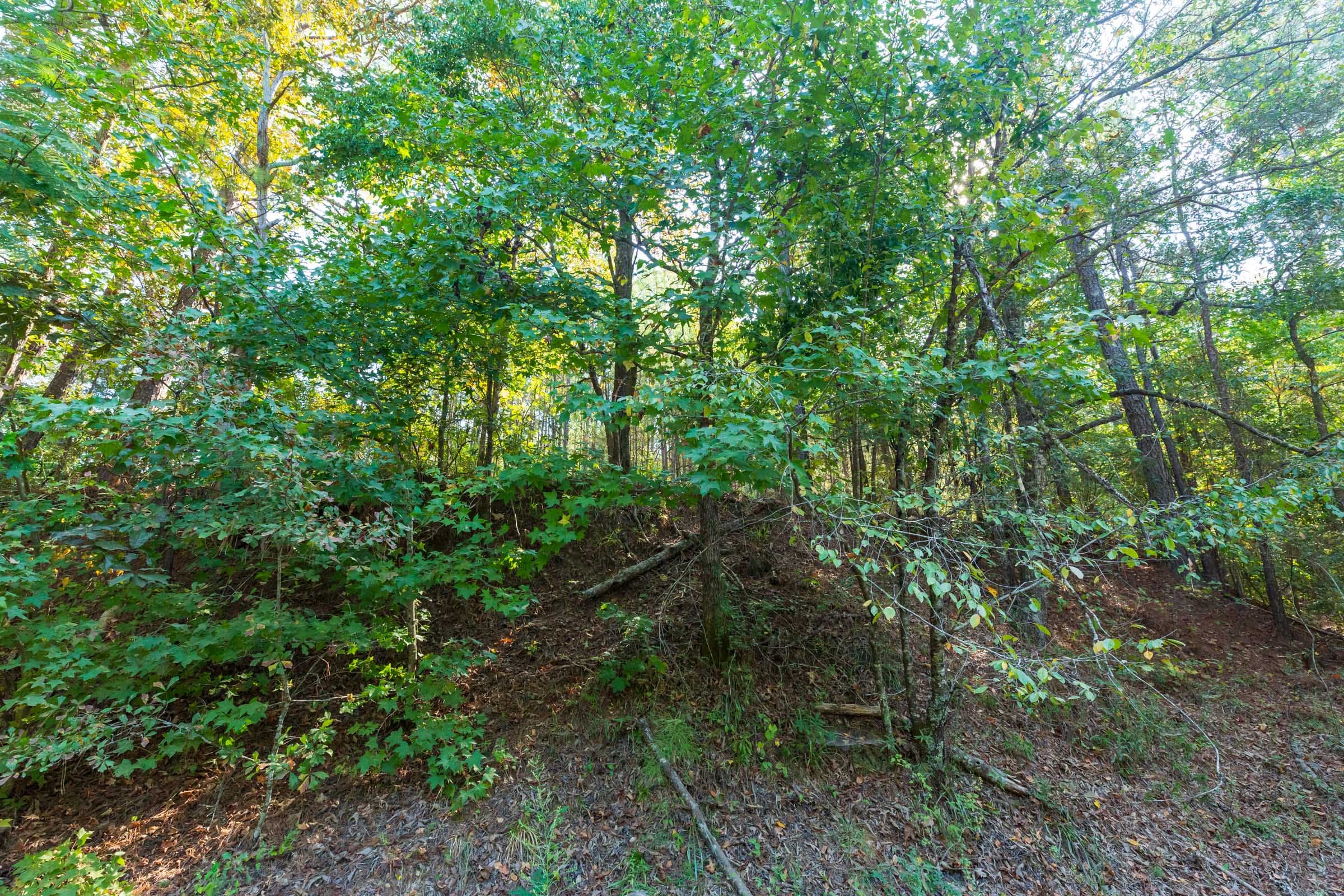 Willow Grove Tract 9 photo 5