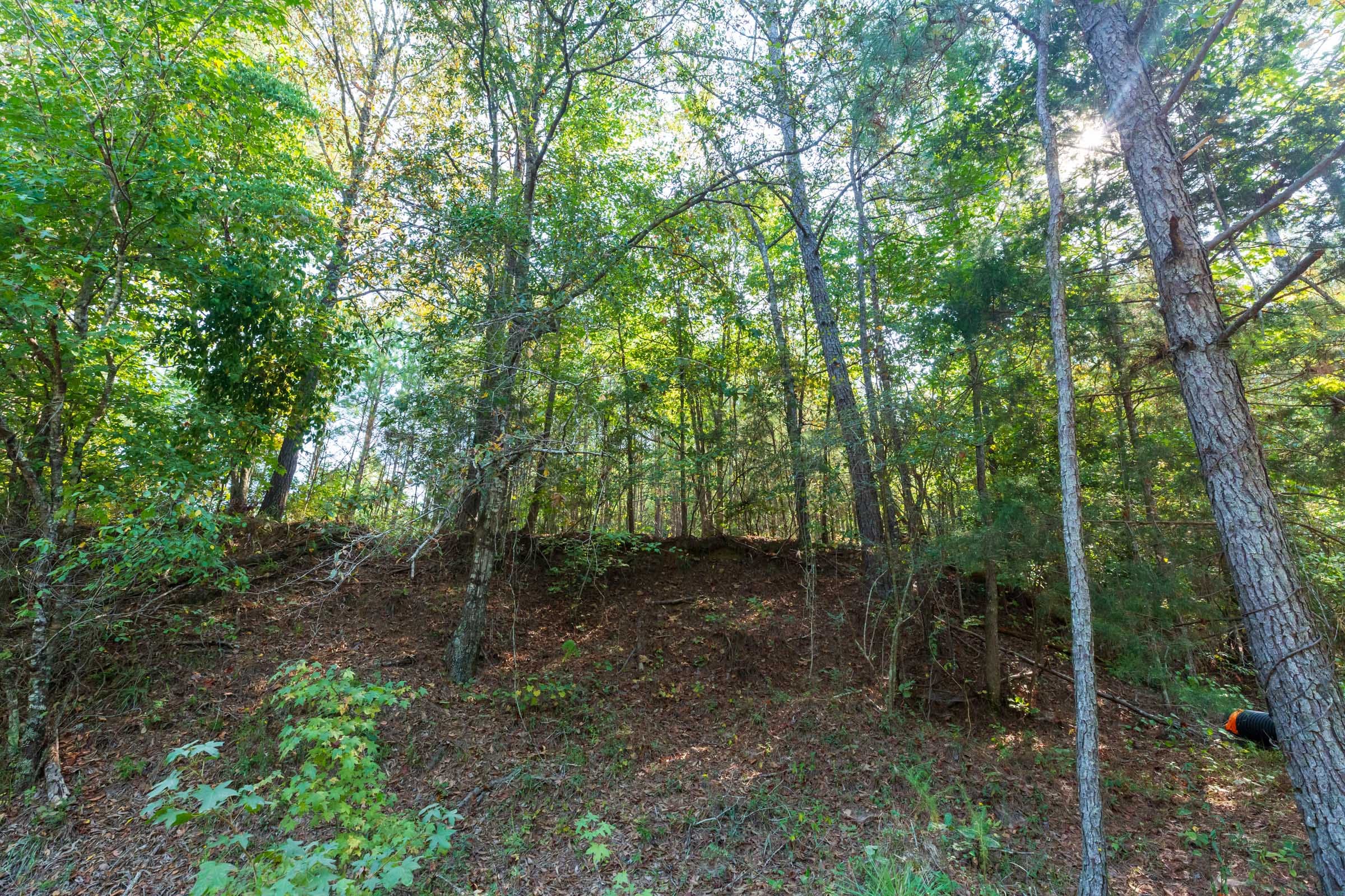 Willow Grove Tract 9 photo 7