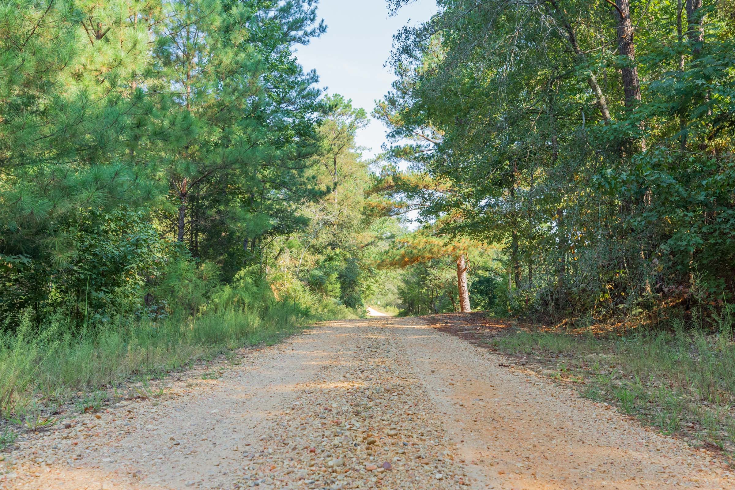 Willow Grove Tract 9 photo 12