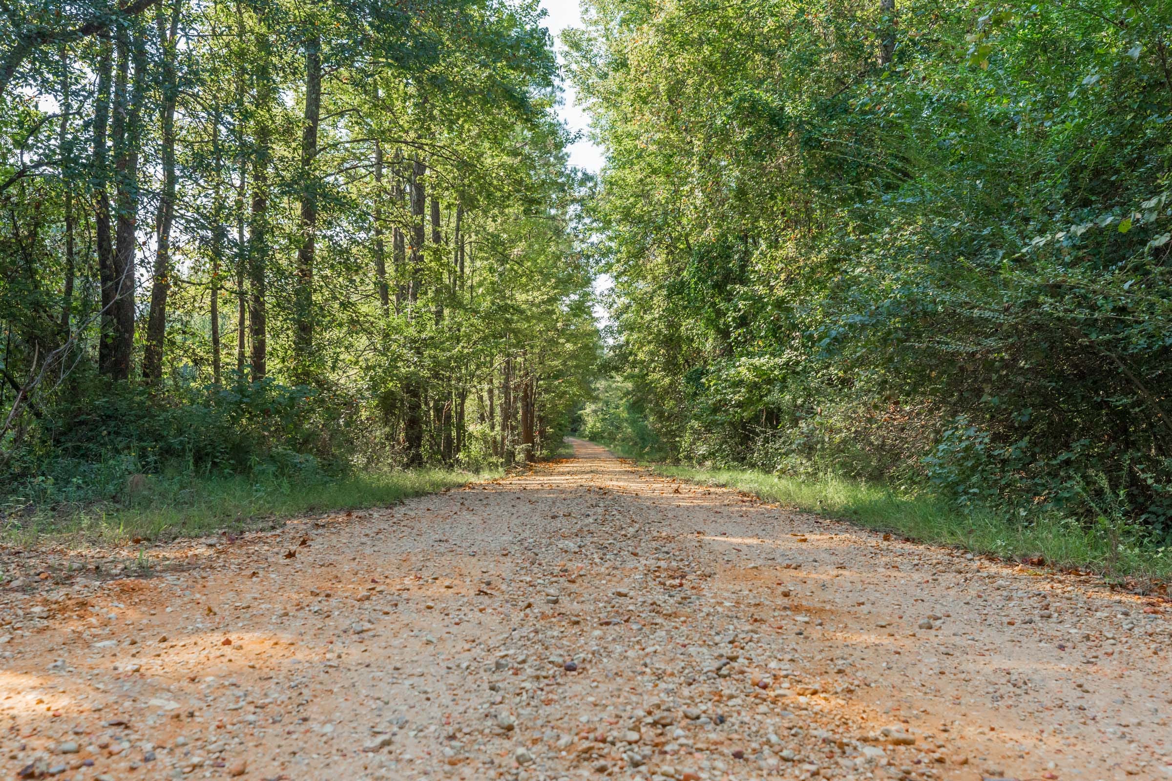 Willow Grove Tract 9 photo 1