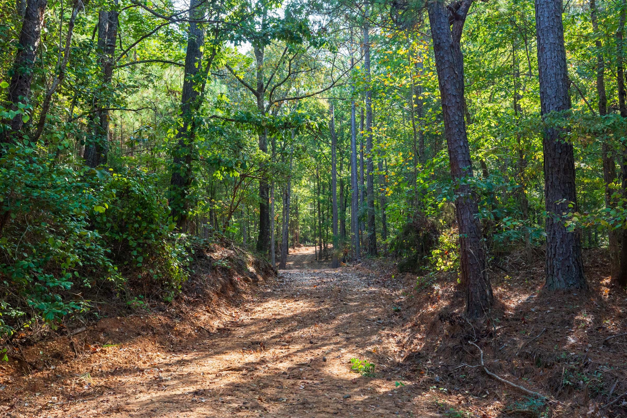Willow Grove Tract 9 photo 8