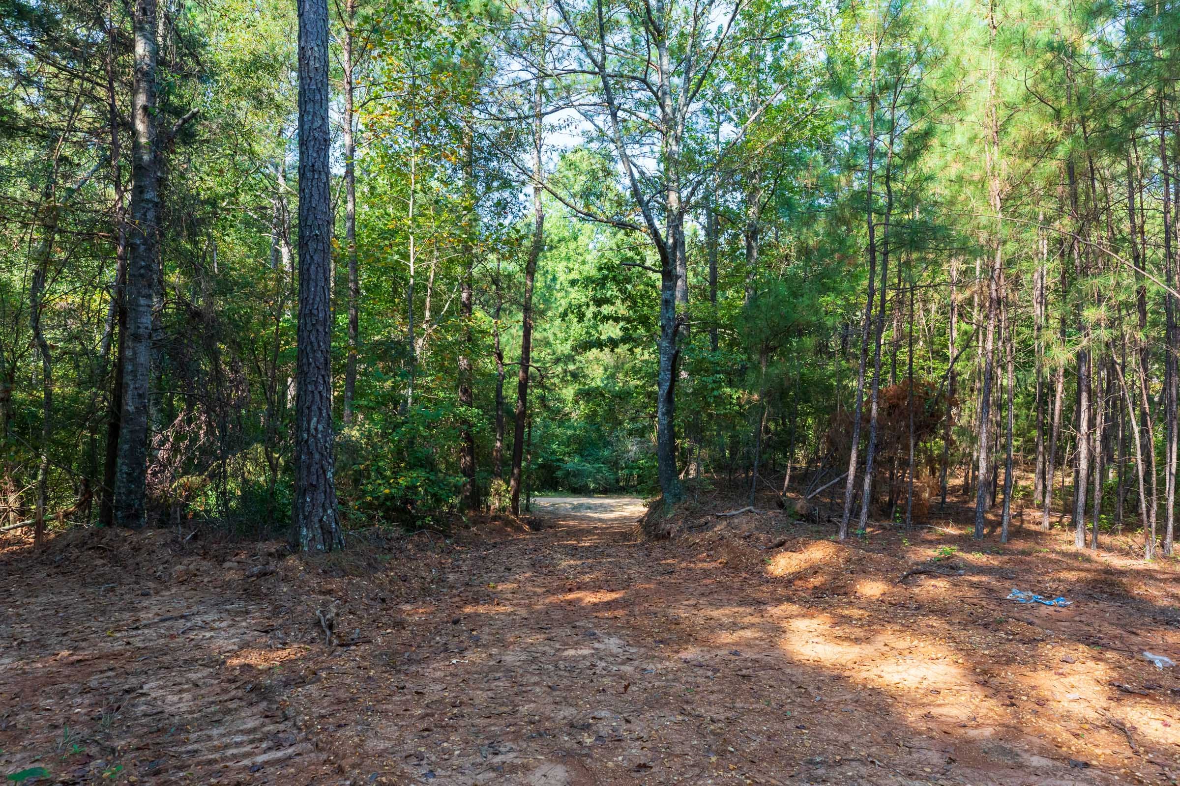 Willow Grove Tract 9 photo 10
