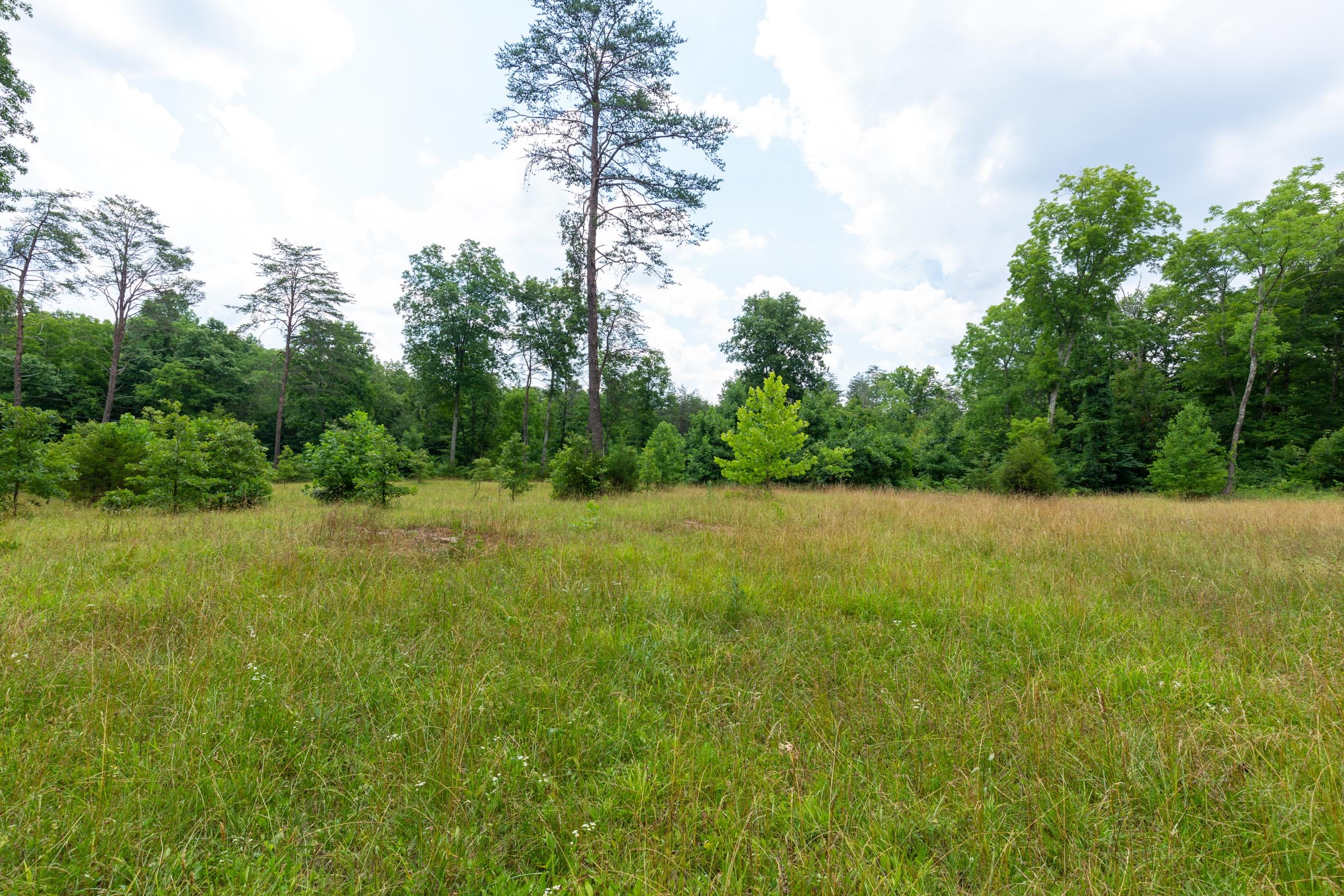 Tucker Hollow Tract 1 photo 21
