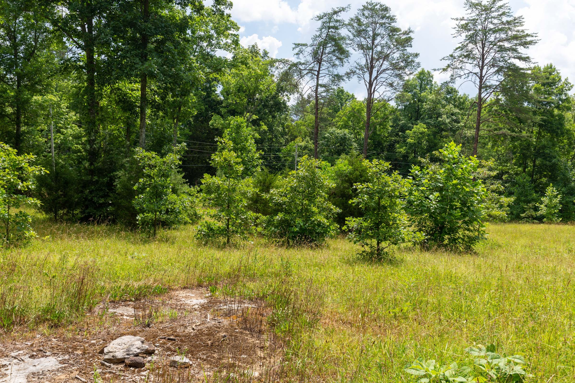 Tucker Hollow Tract 1 photo 4