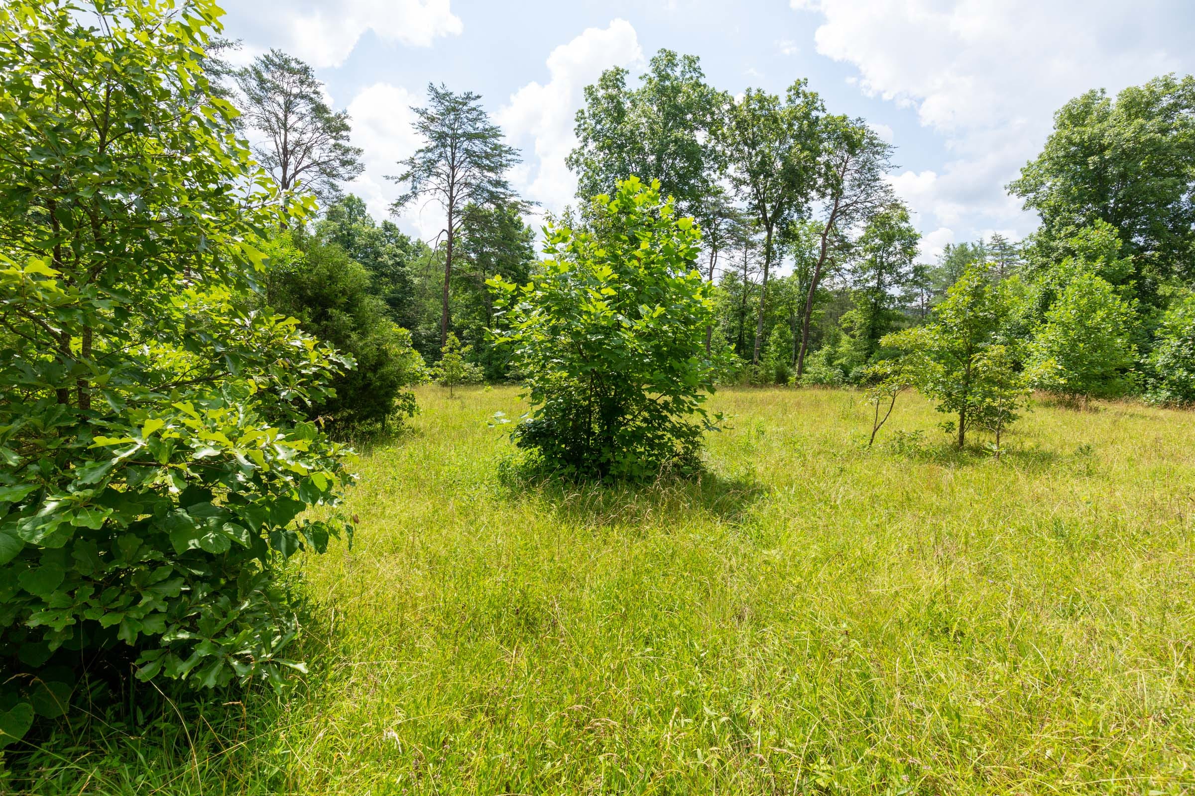 Tucker Hollow Tract 1 photo 22