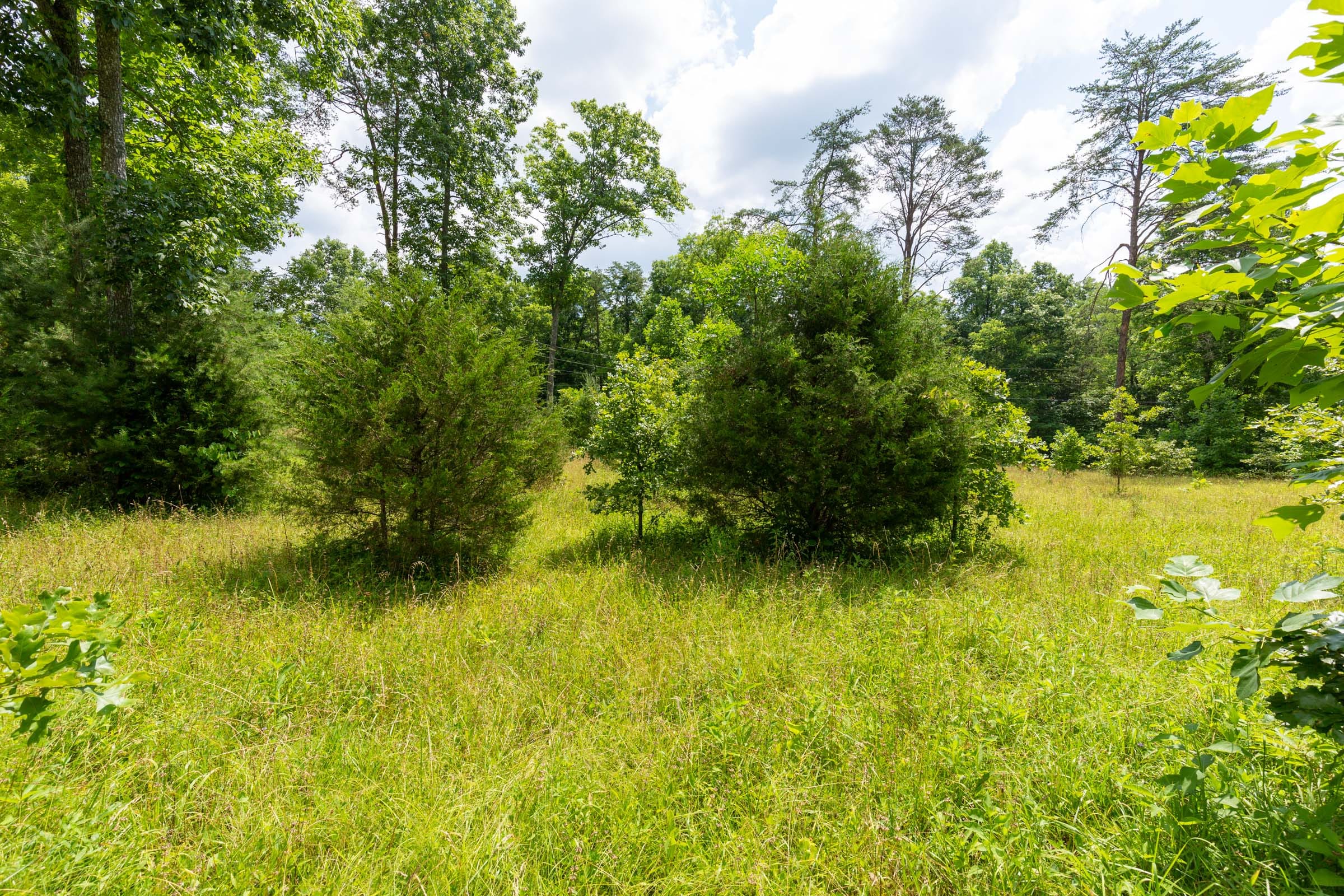 Tucker Hollow Tract 1 photo 23