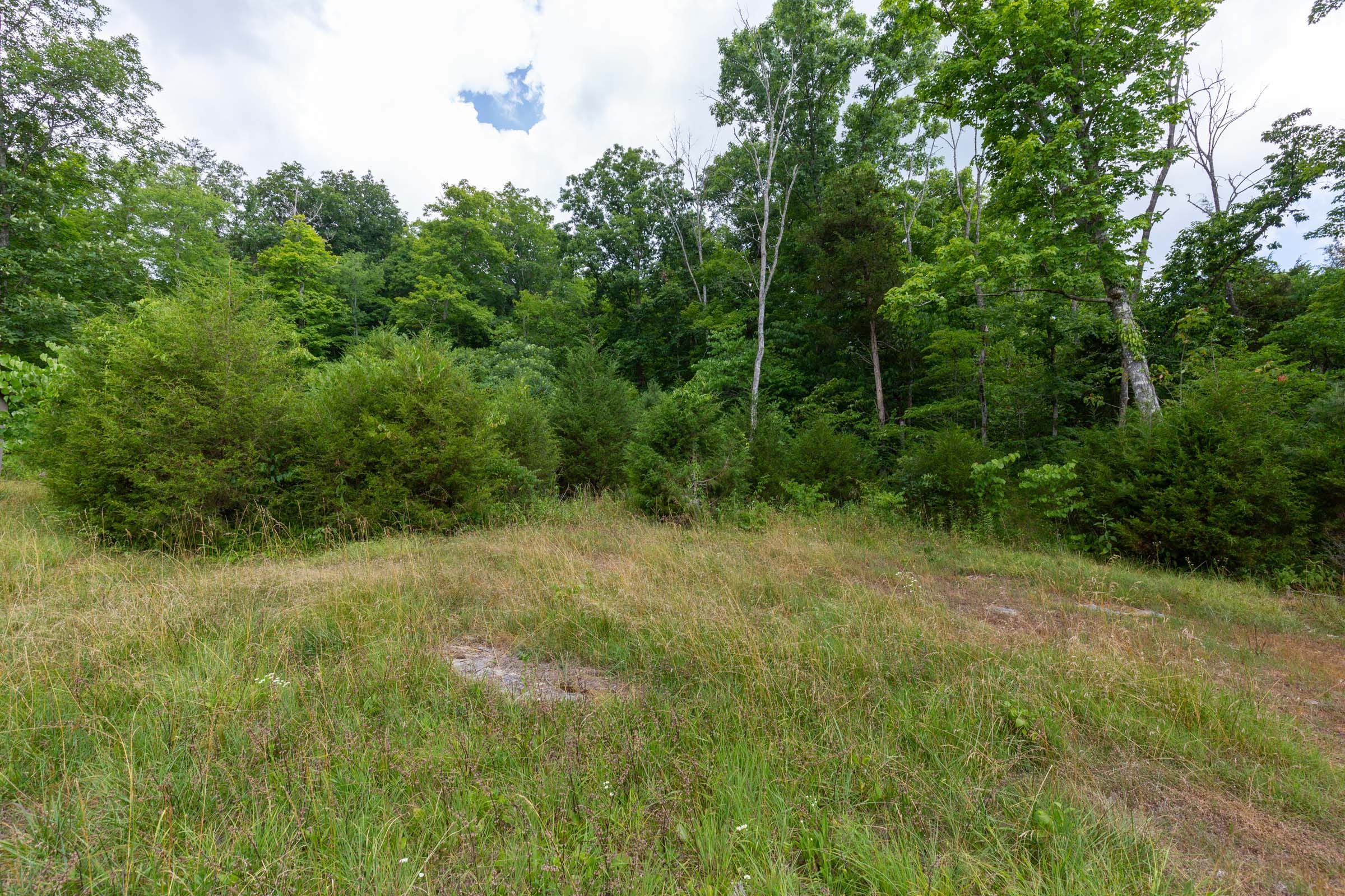 Tucker Hollow Tract 1 photo 25