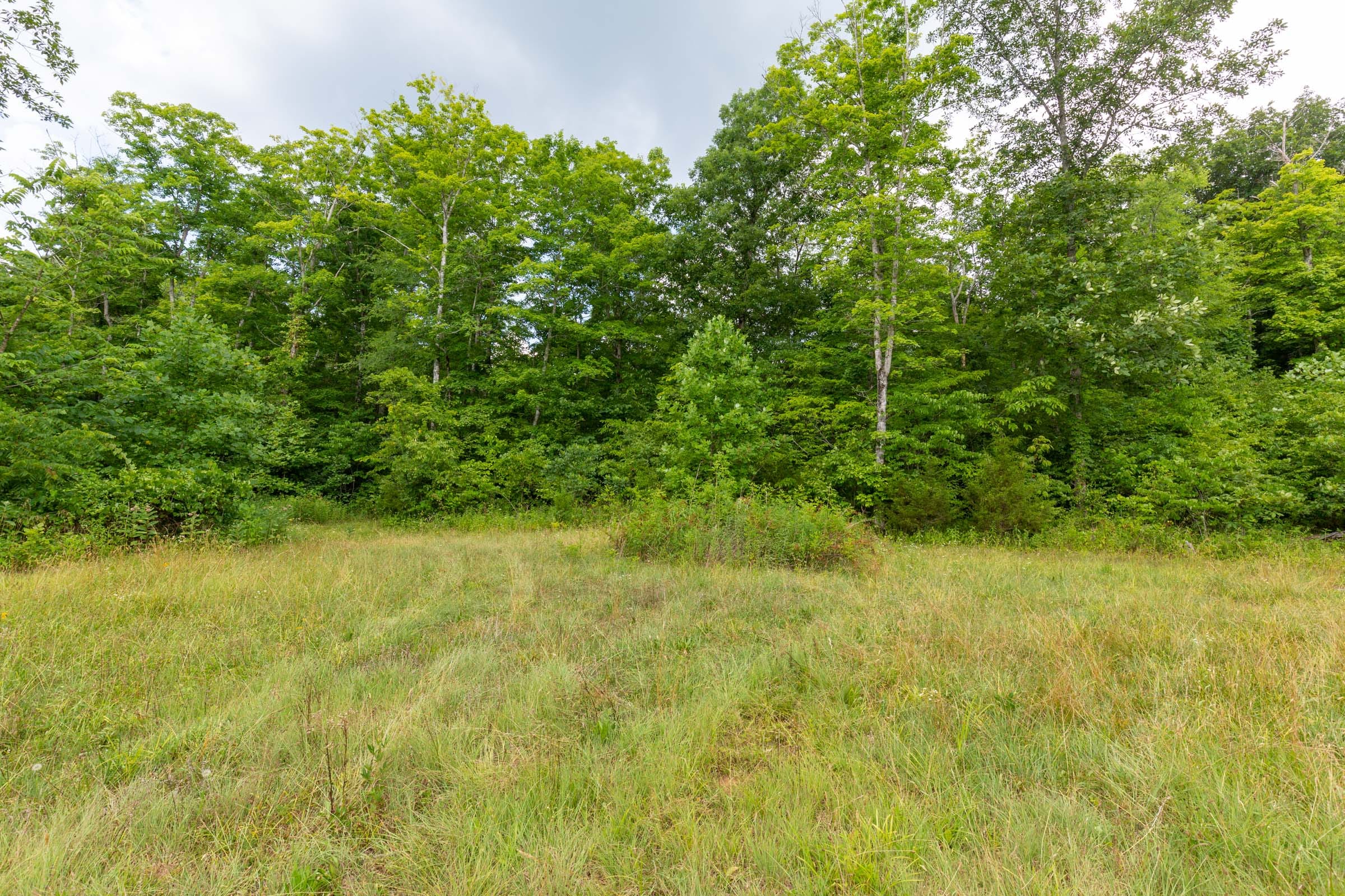Tucker Hollow Tract 1 photo 26