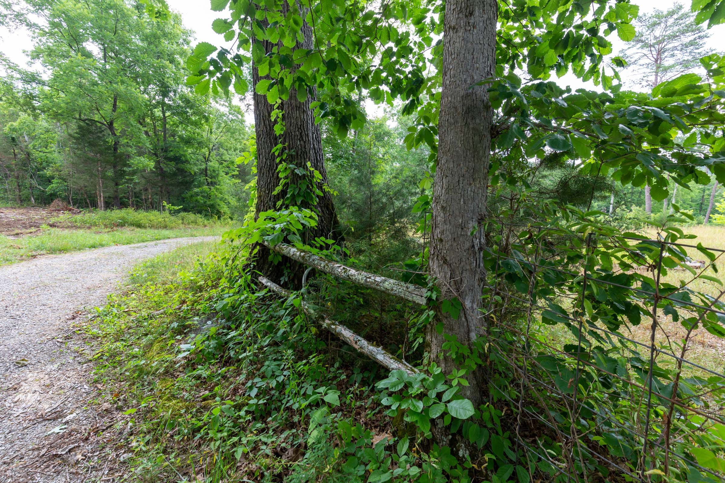 Tucker Hollow Tract 1 photo 6