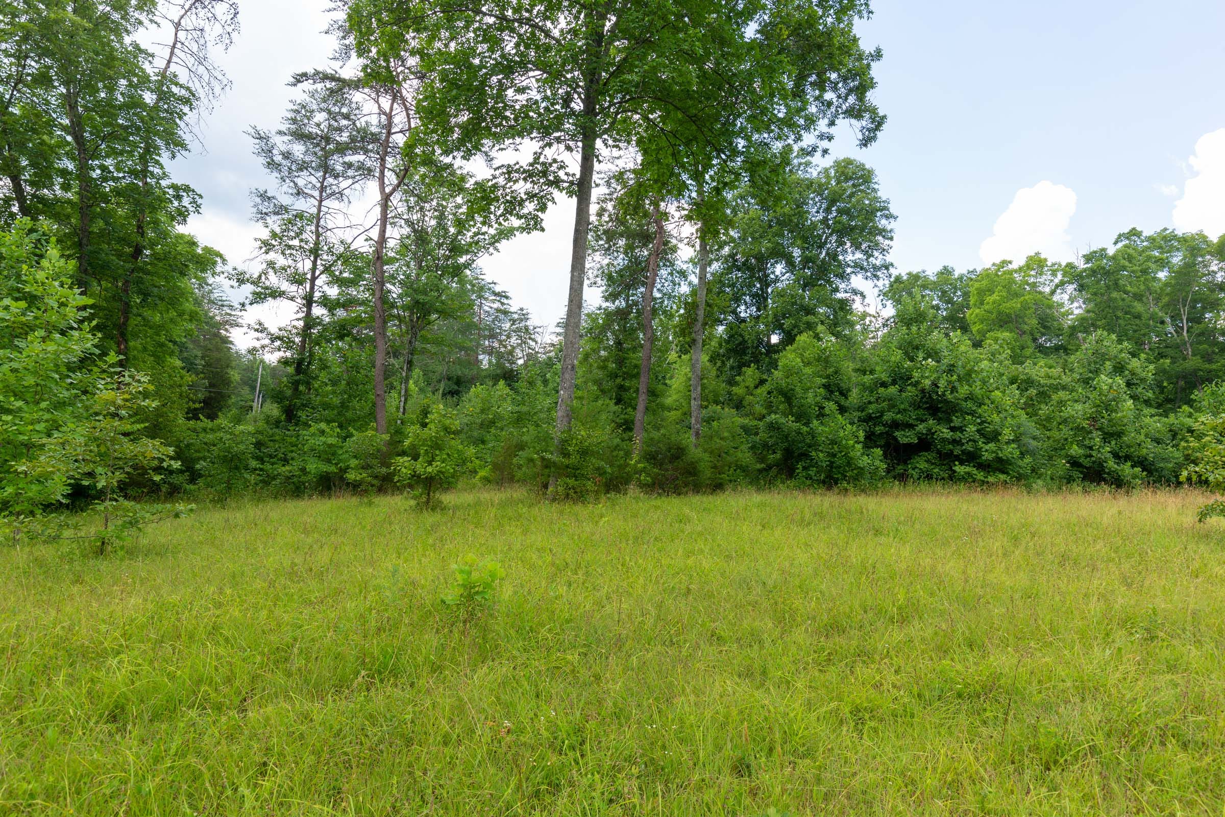 Tucker Hollow Tract 1 photo 30