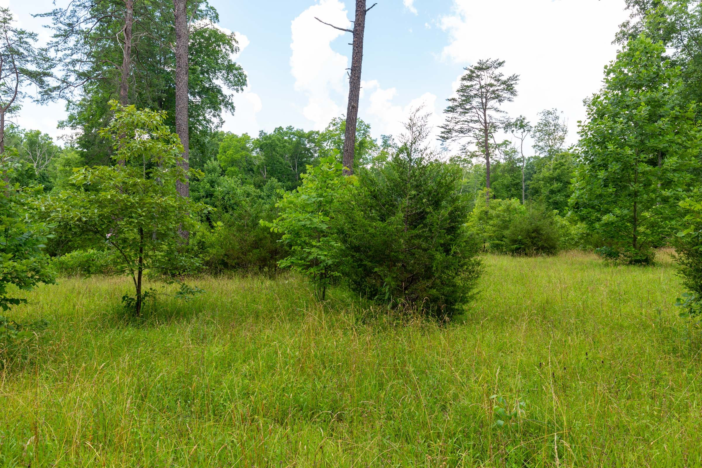 Tucker Hollow Tract 1 photo 28