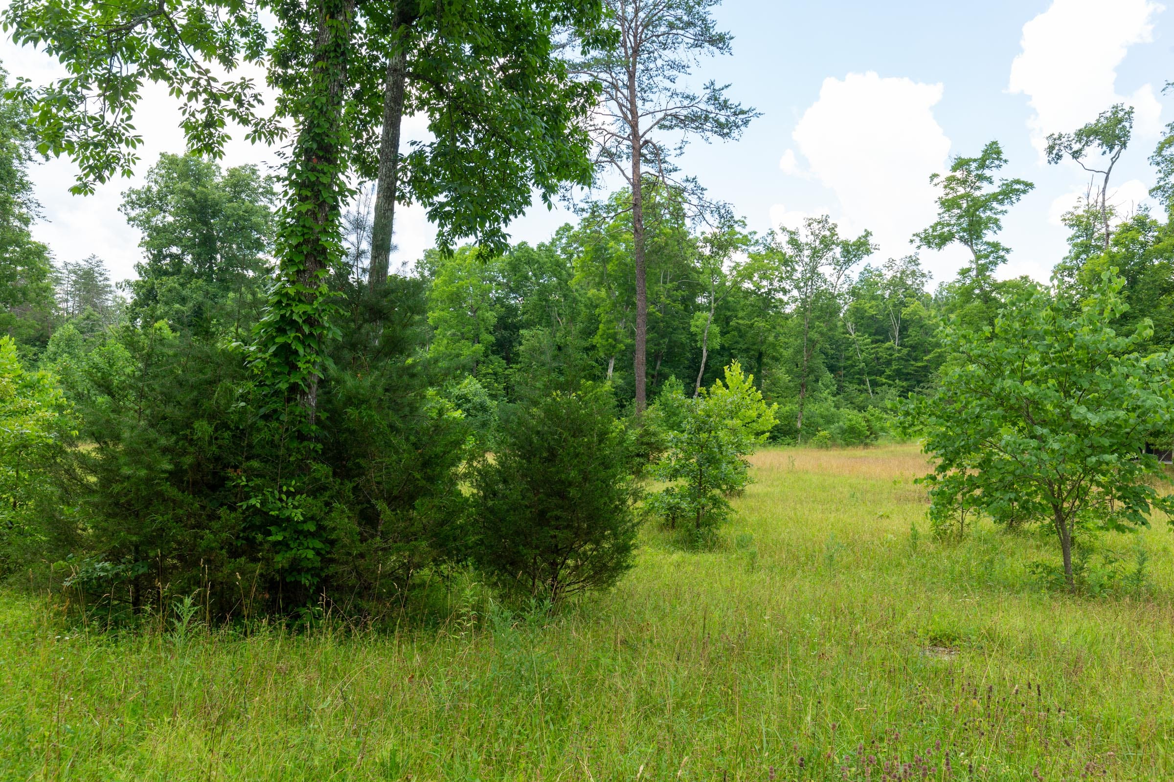 Tucker Hollow Tract 1 photo 31