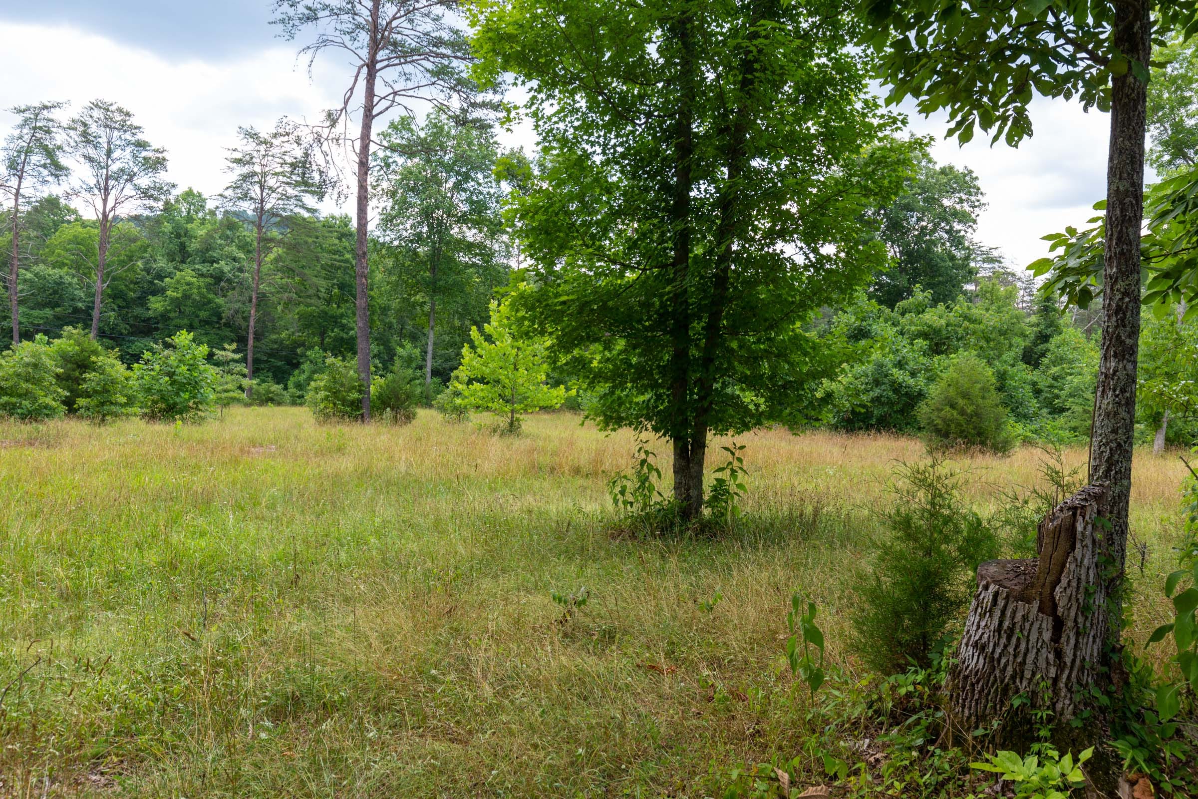 Tucker Hollow Tract 1 photo 32