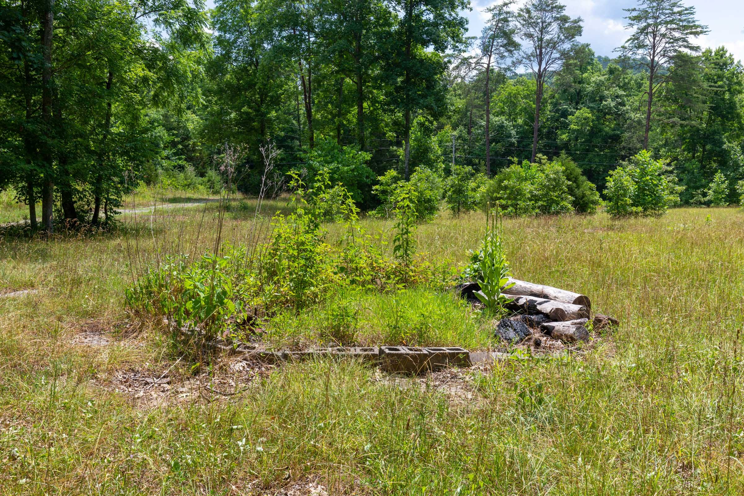 Tucker Hollow Tract 1 photo 5