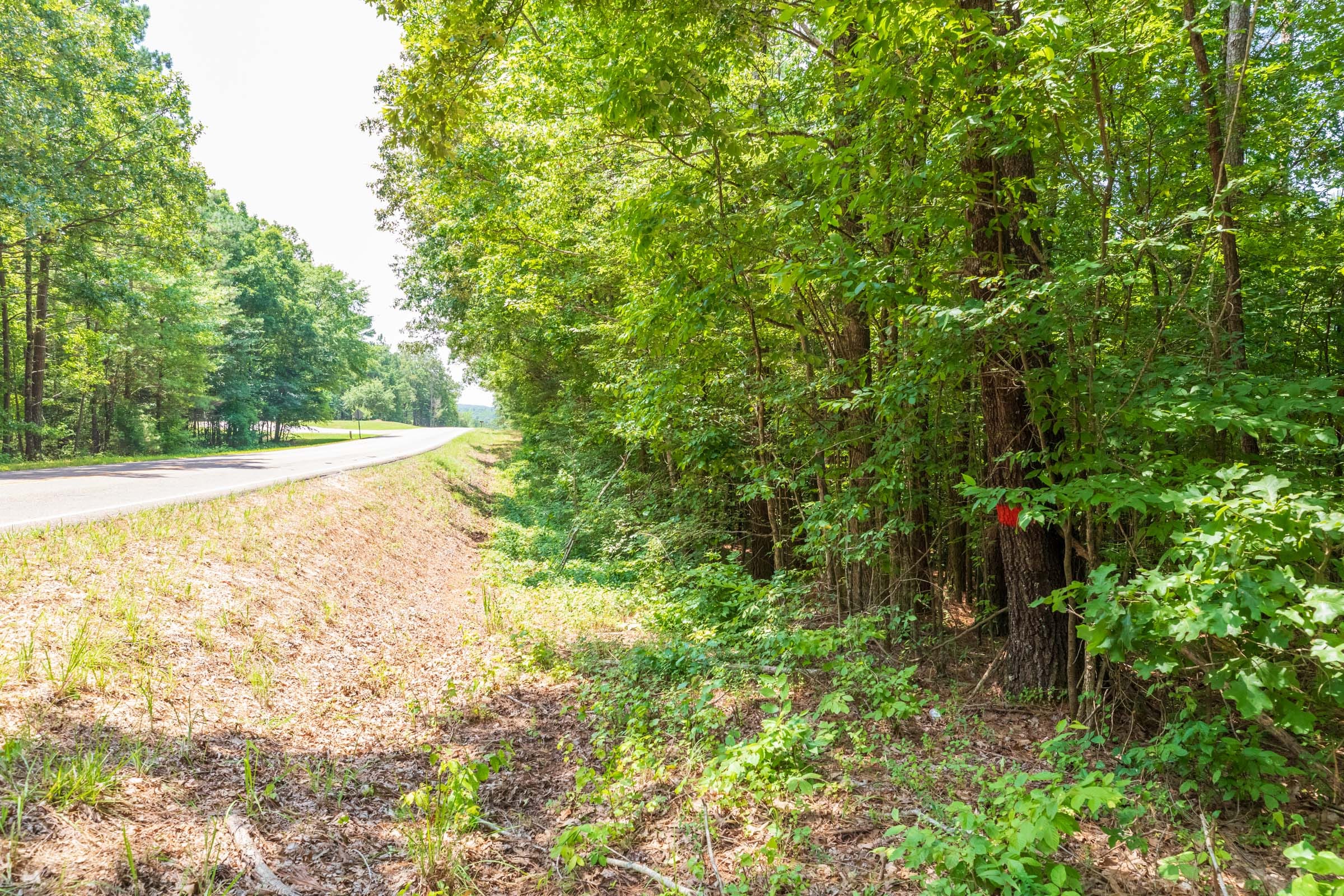 Whiskey Ridge Tract 2 photo 6