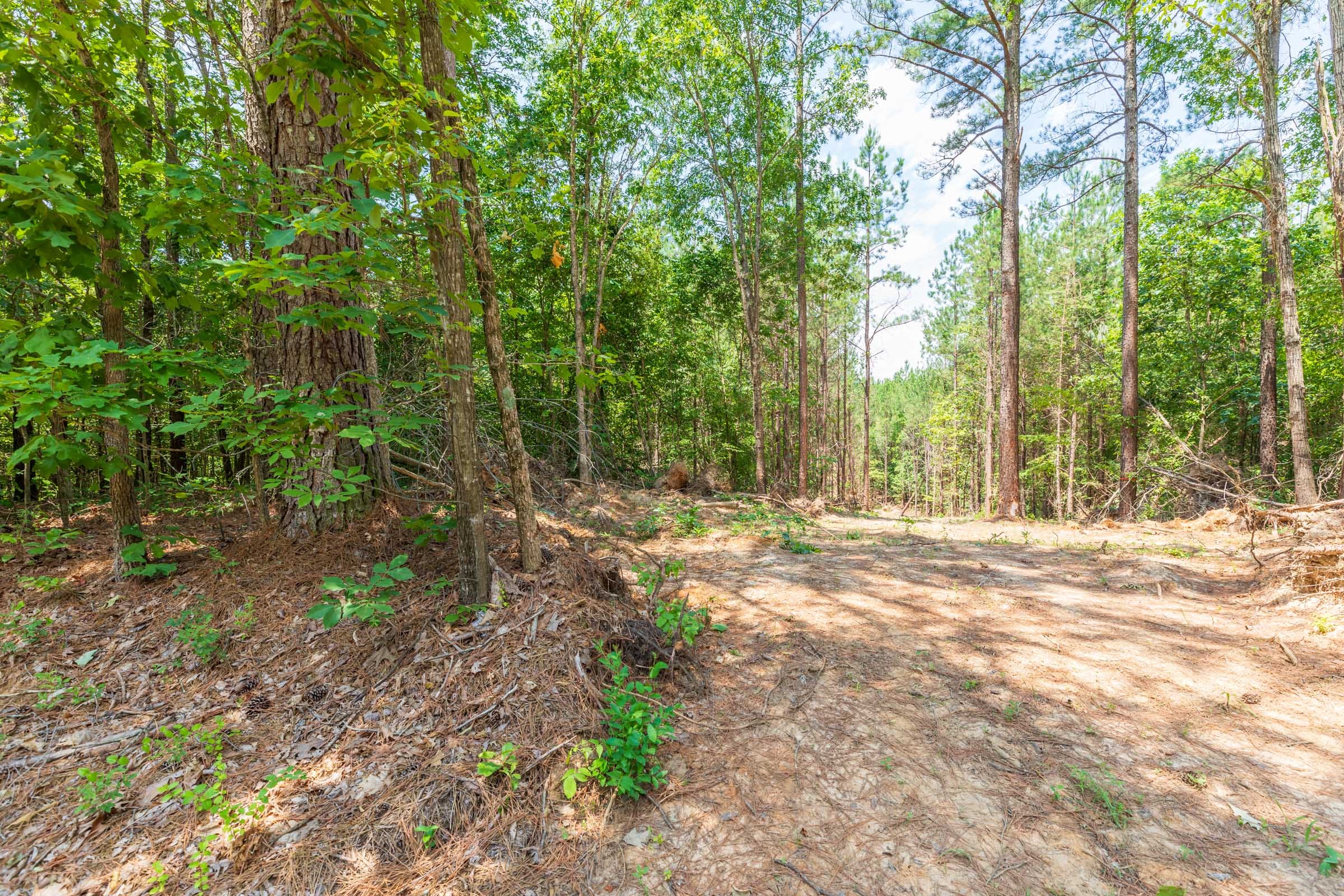Whiskey Ridge Tract 2 photo 7