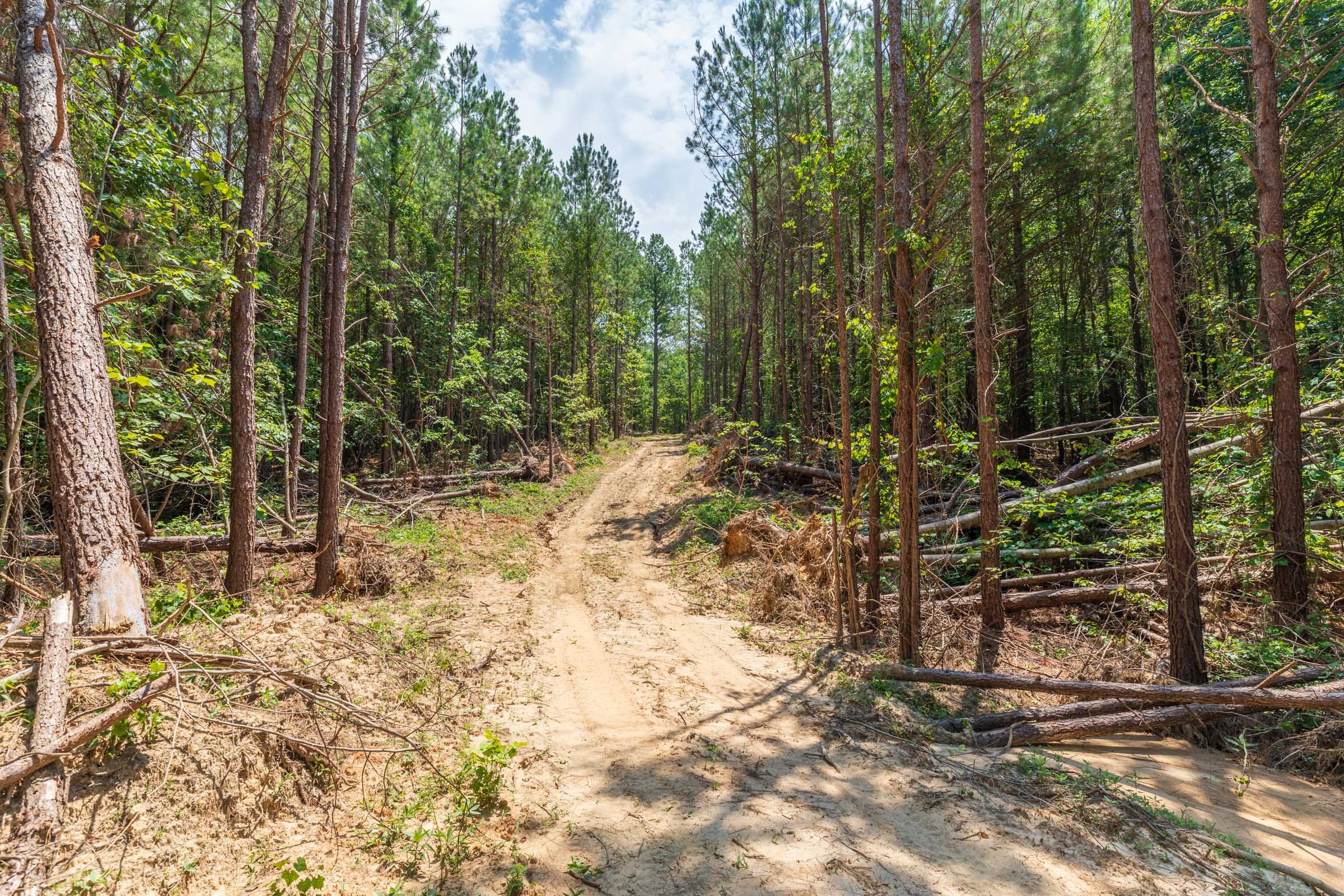 Whiskey Ridge Tract 2 photo 1
