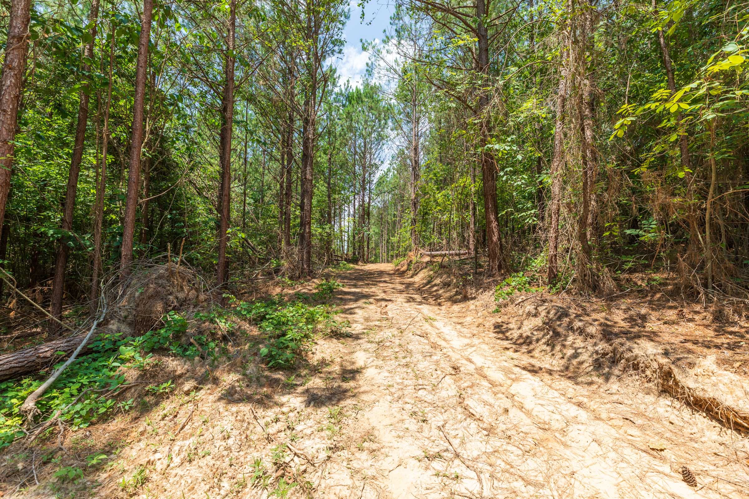Whiskey Ridge Tract 2 photo 9