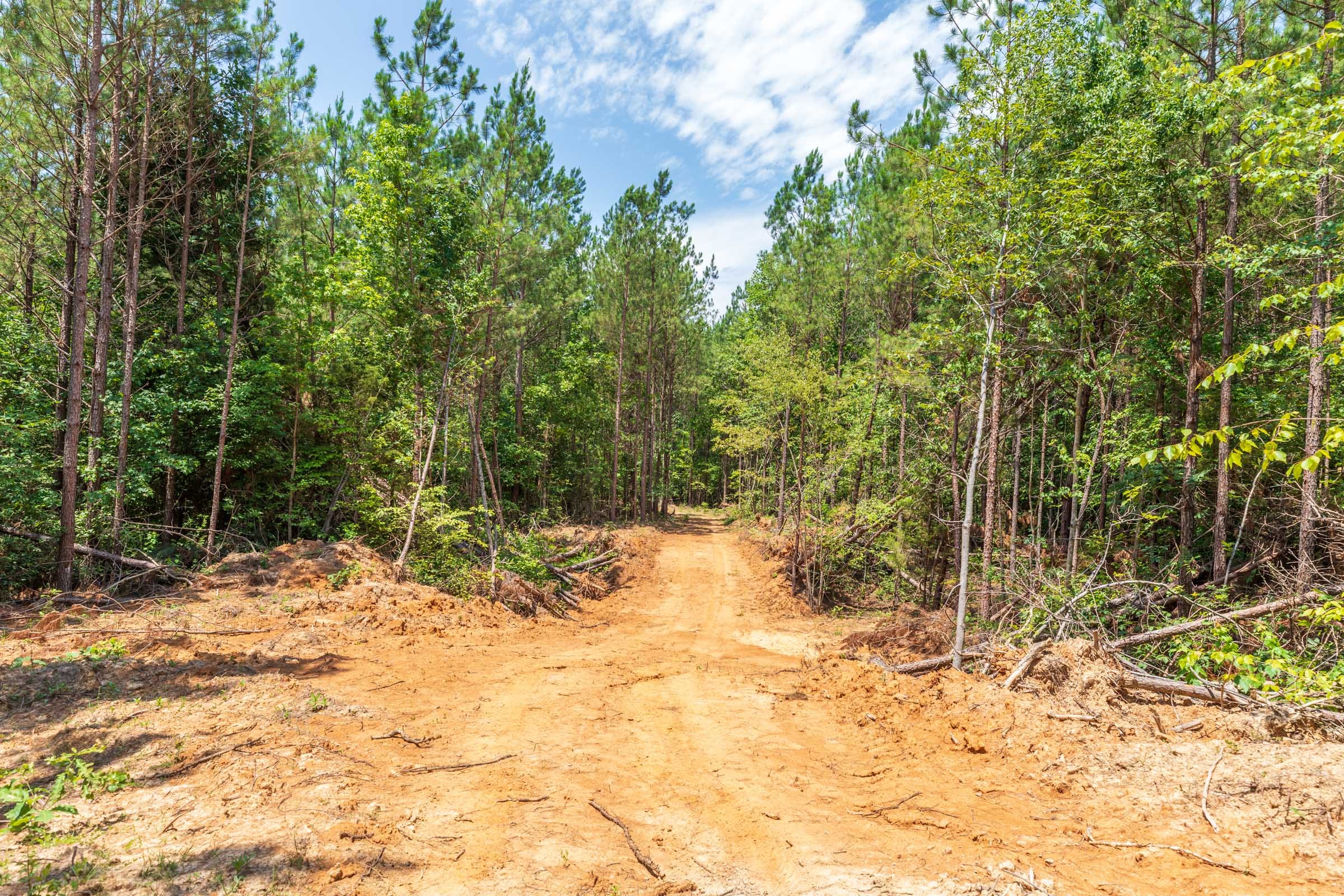Whiskey Ridge Tract 2 photo 11