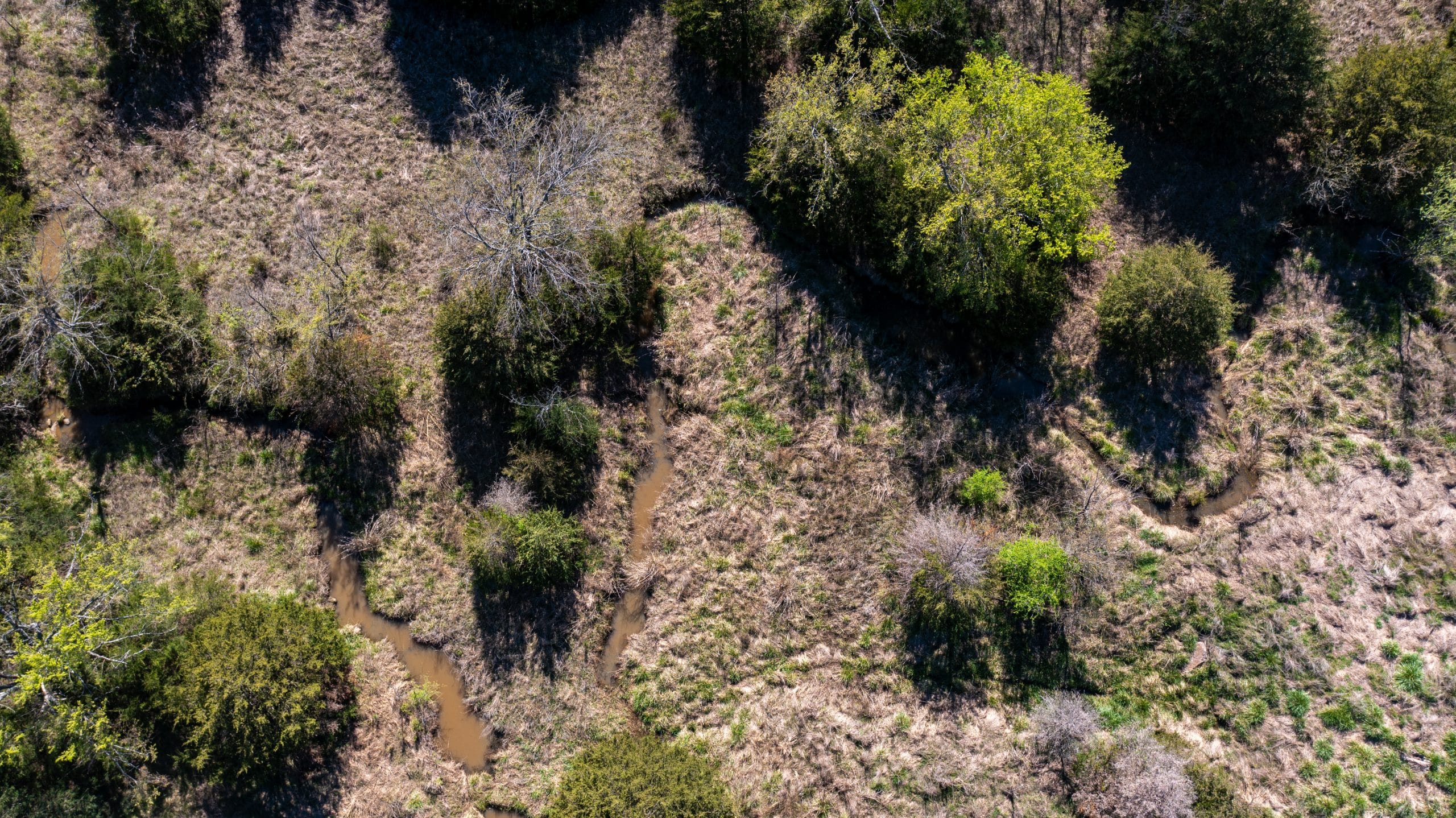 Prairie Grove photo 11