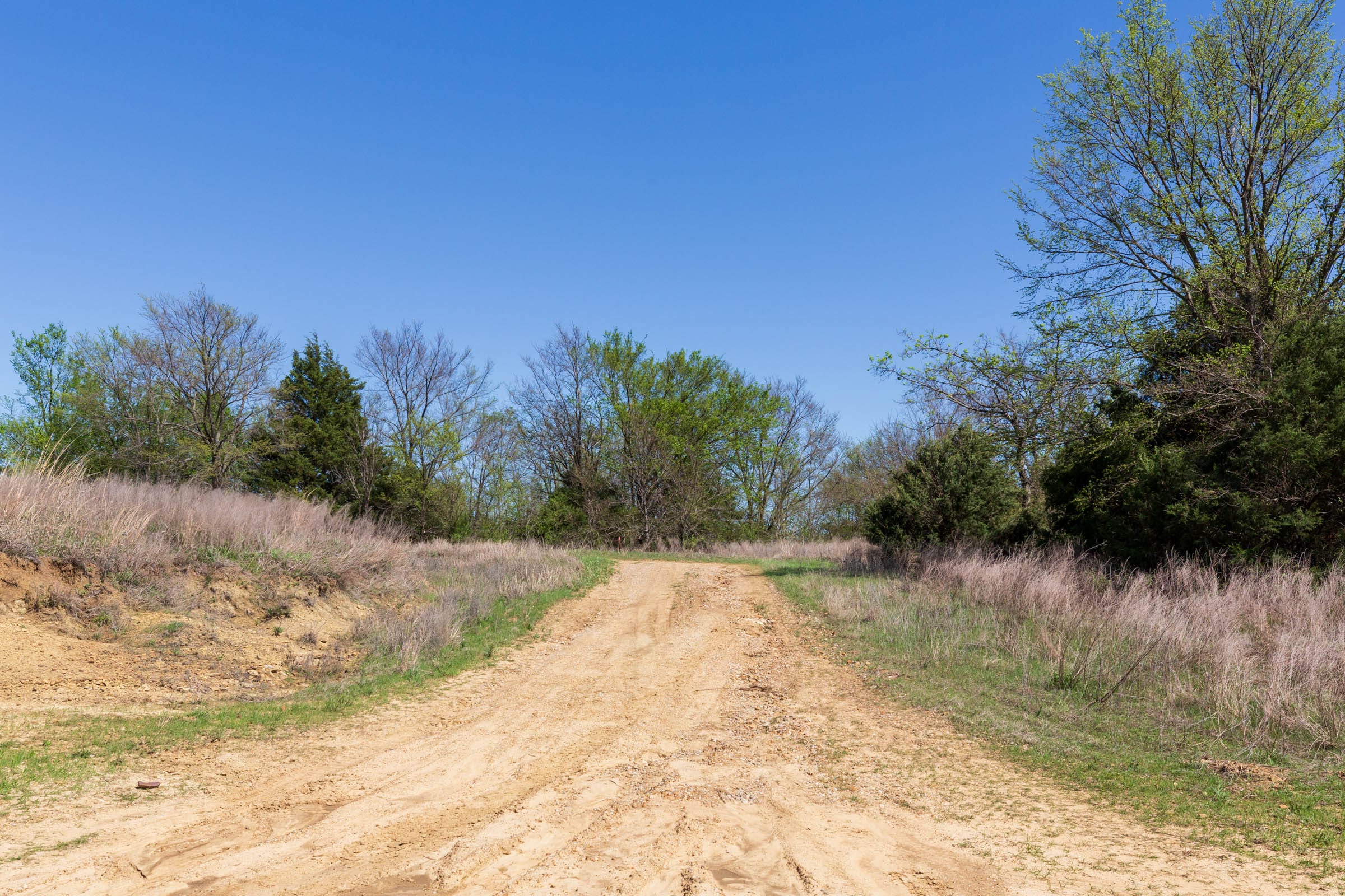 Prairie Grove Tract 6 photo 10