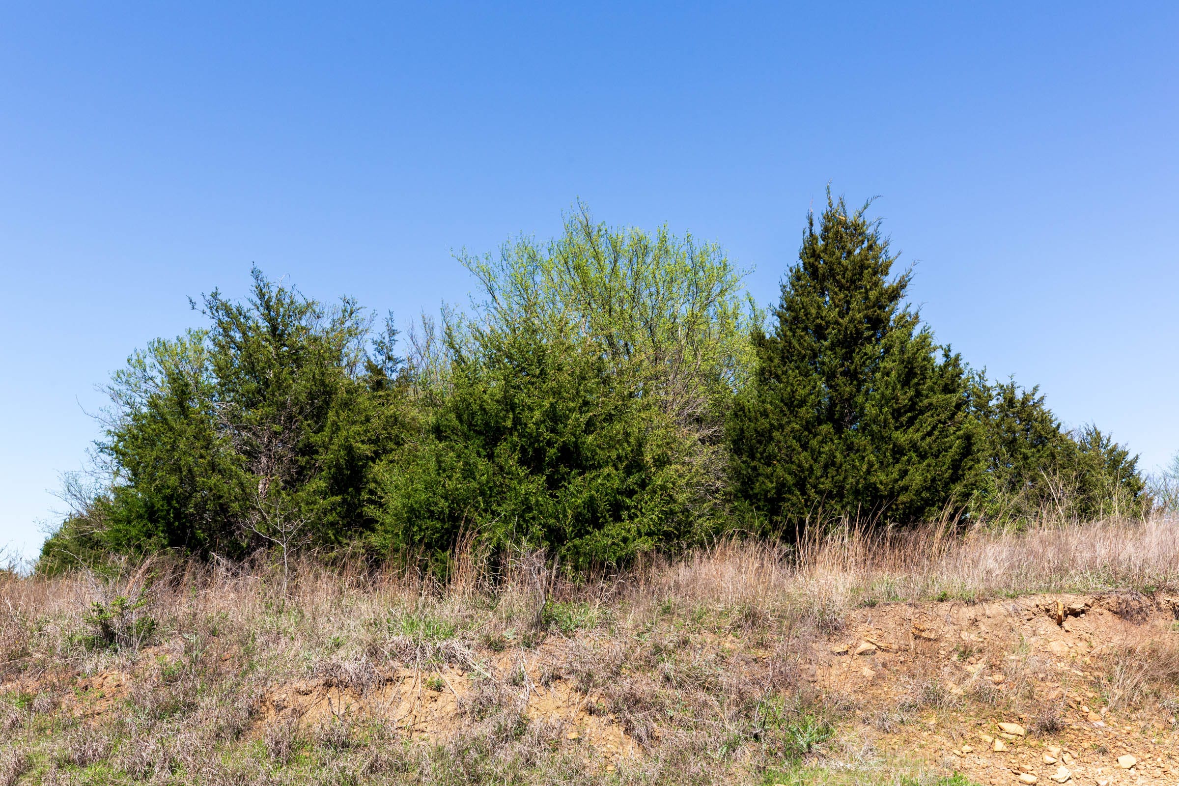 Prairie Grove Tract 6 photo 3