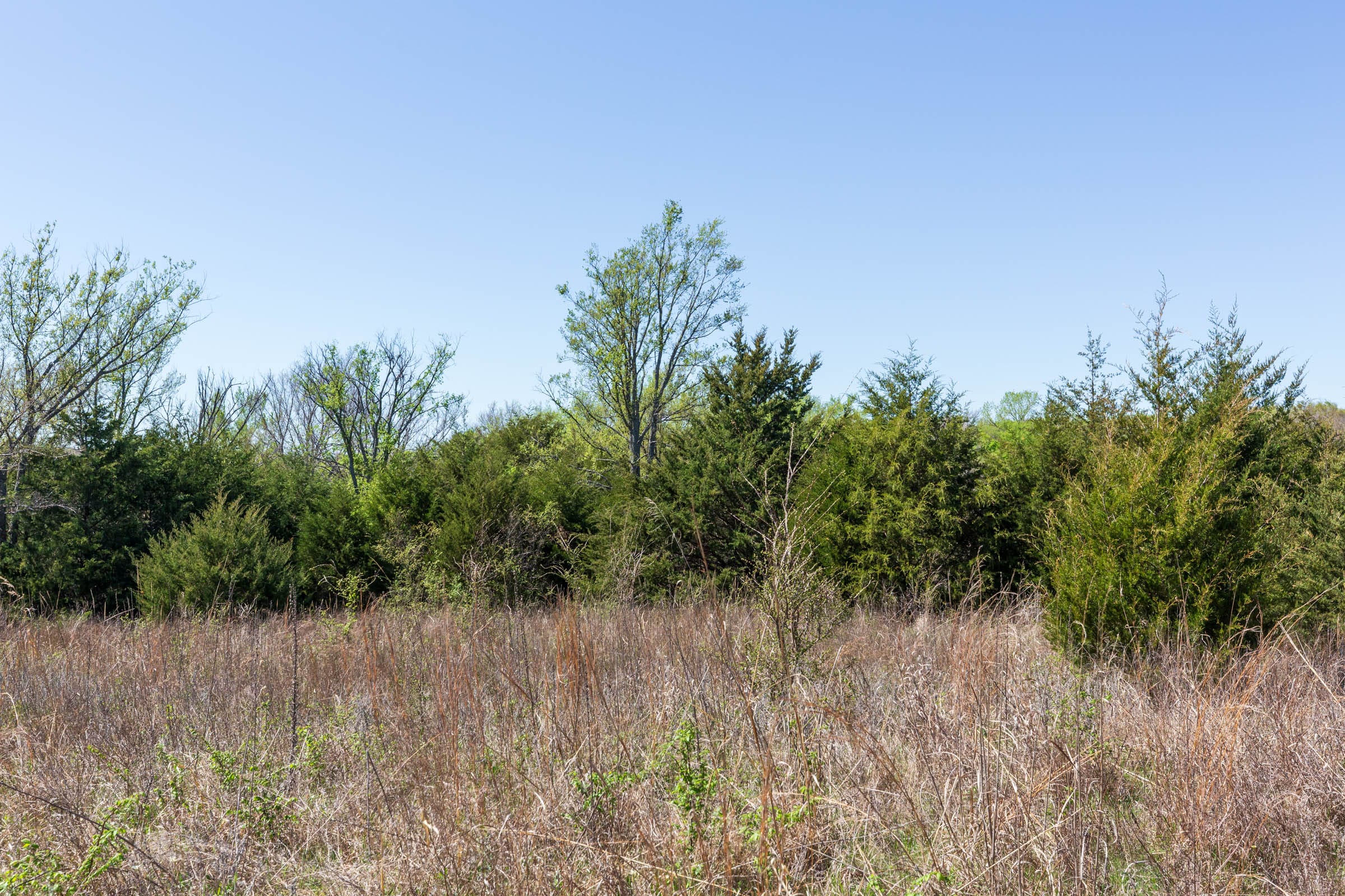 Prairie Grove Tract 6 photo 9