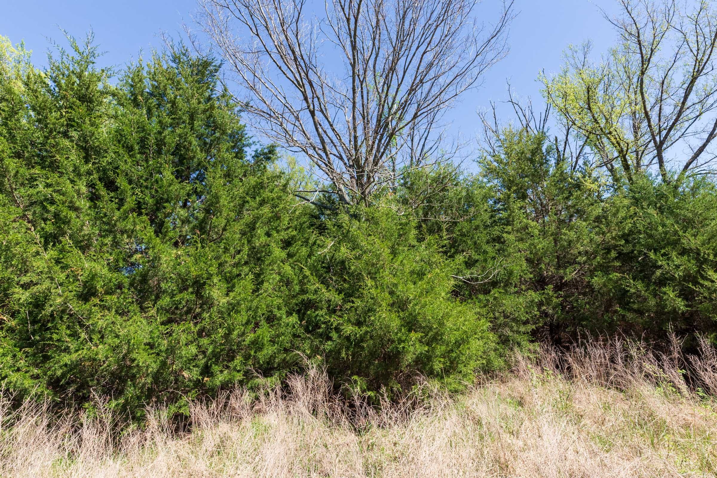Prairie Grove Tract 6 photo 15