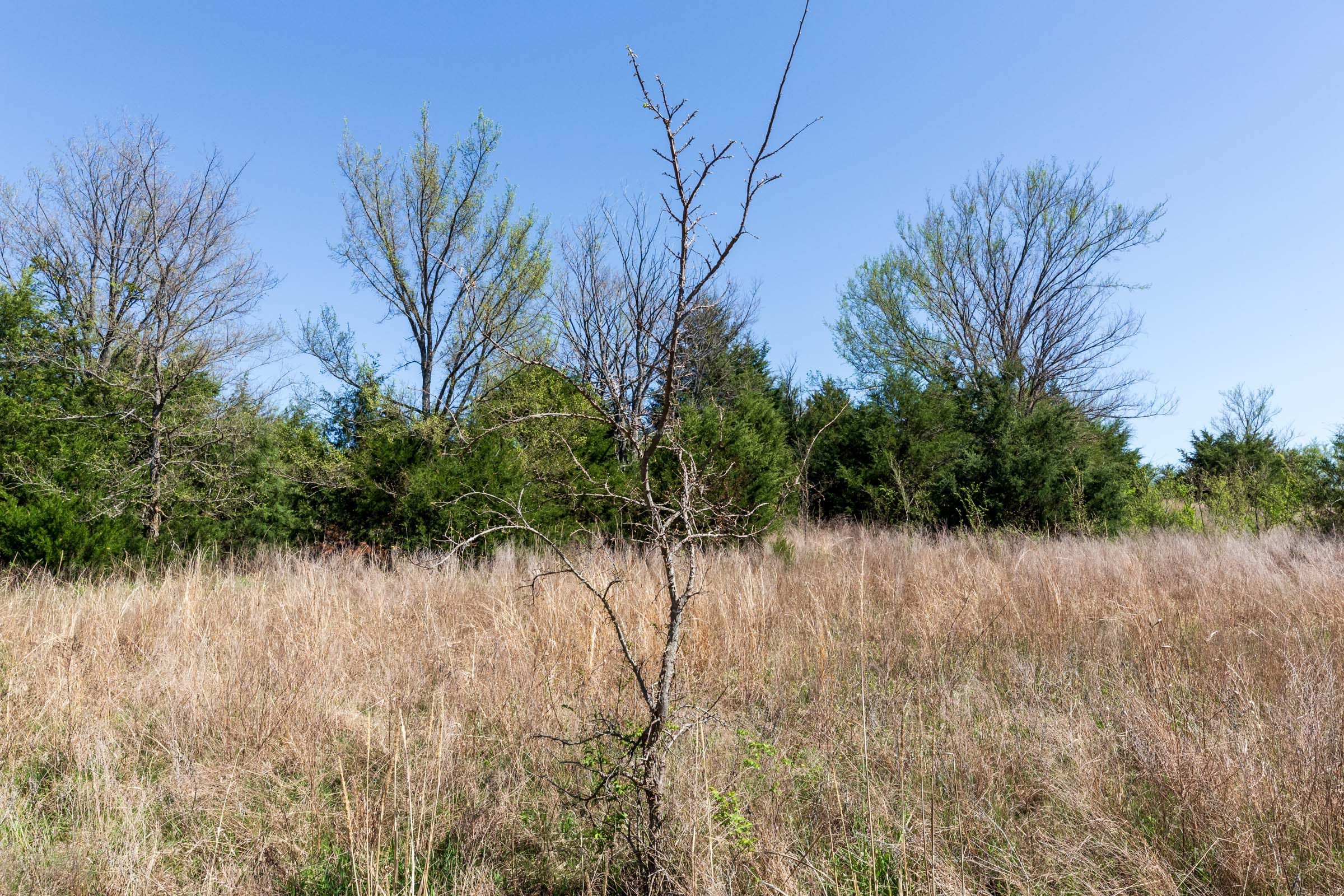 Prairie Grove Tract 6 photo 14