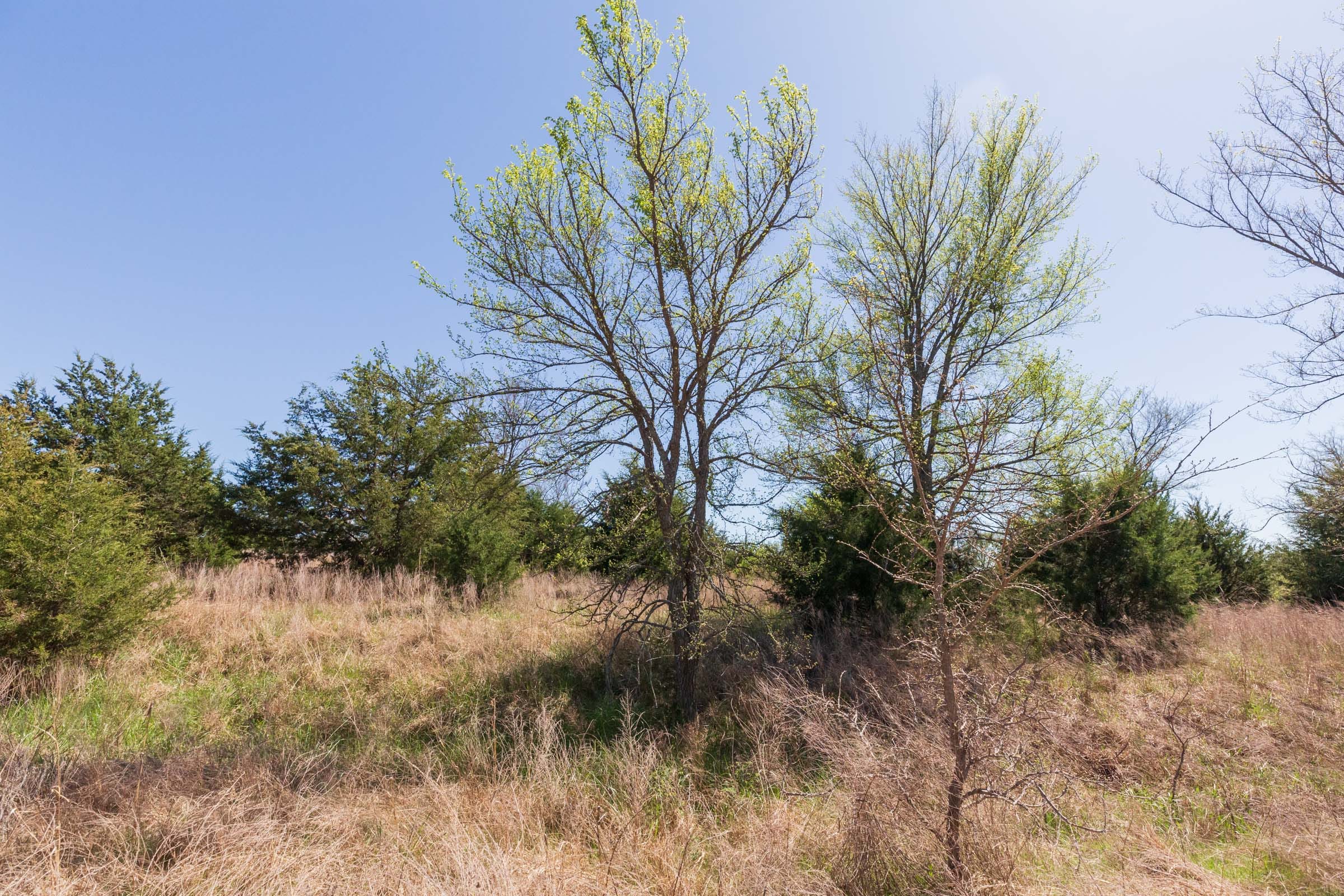 Prairie Grove Tract 6 photo 18