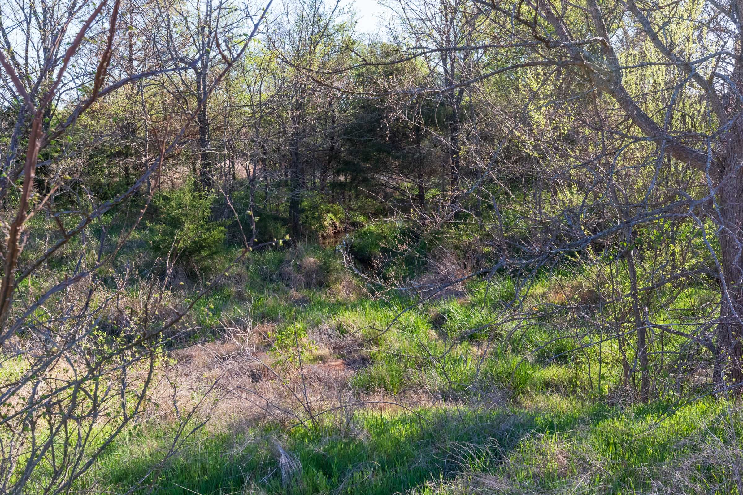 Prairie Grove Tract 6 photo 19