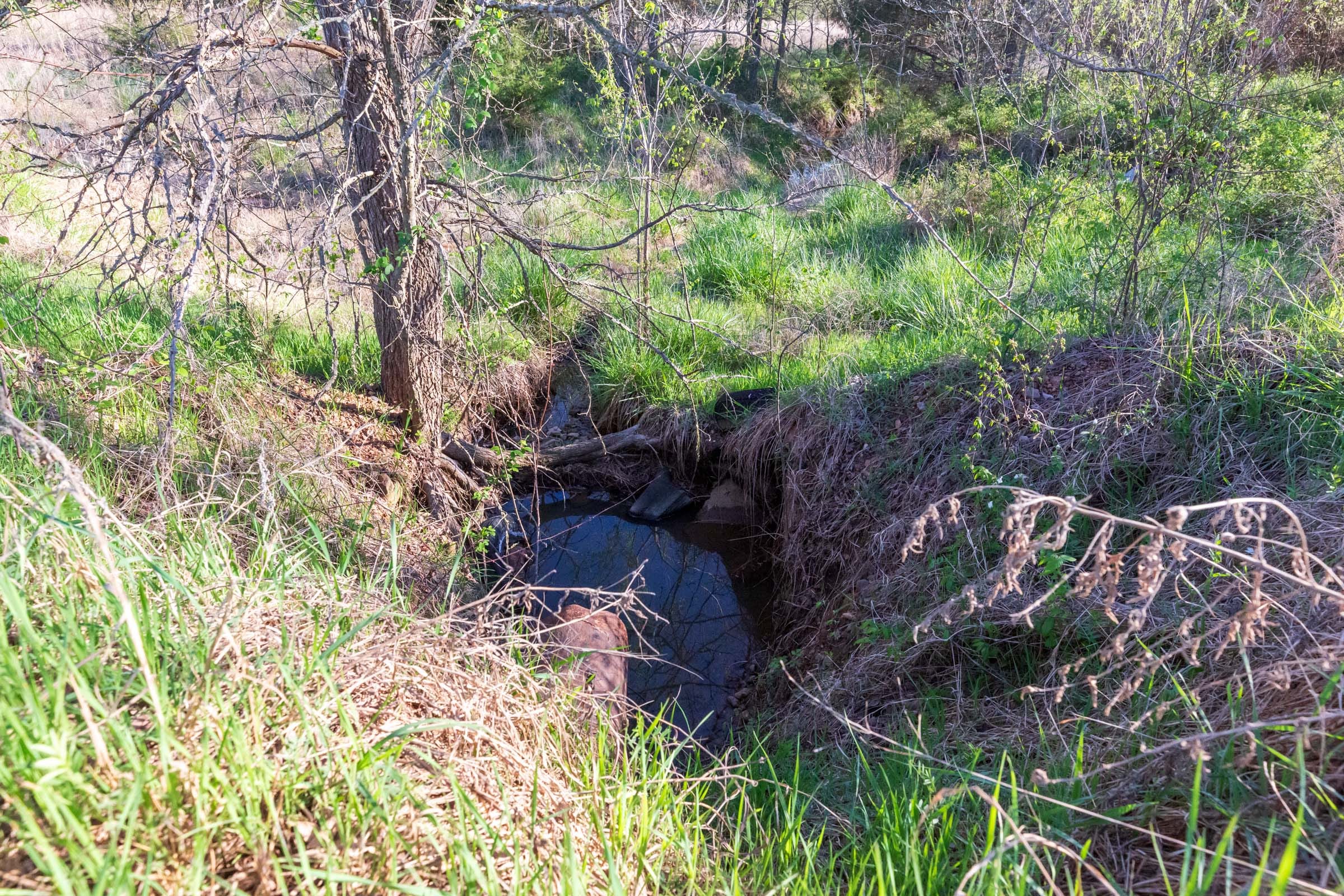 Prairie Grove Tract 6 photo 8