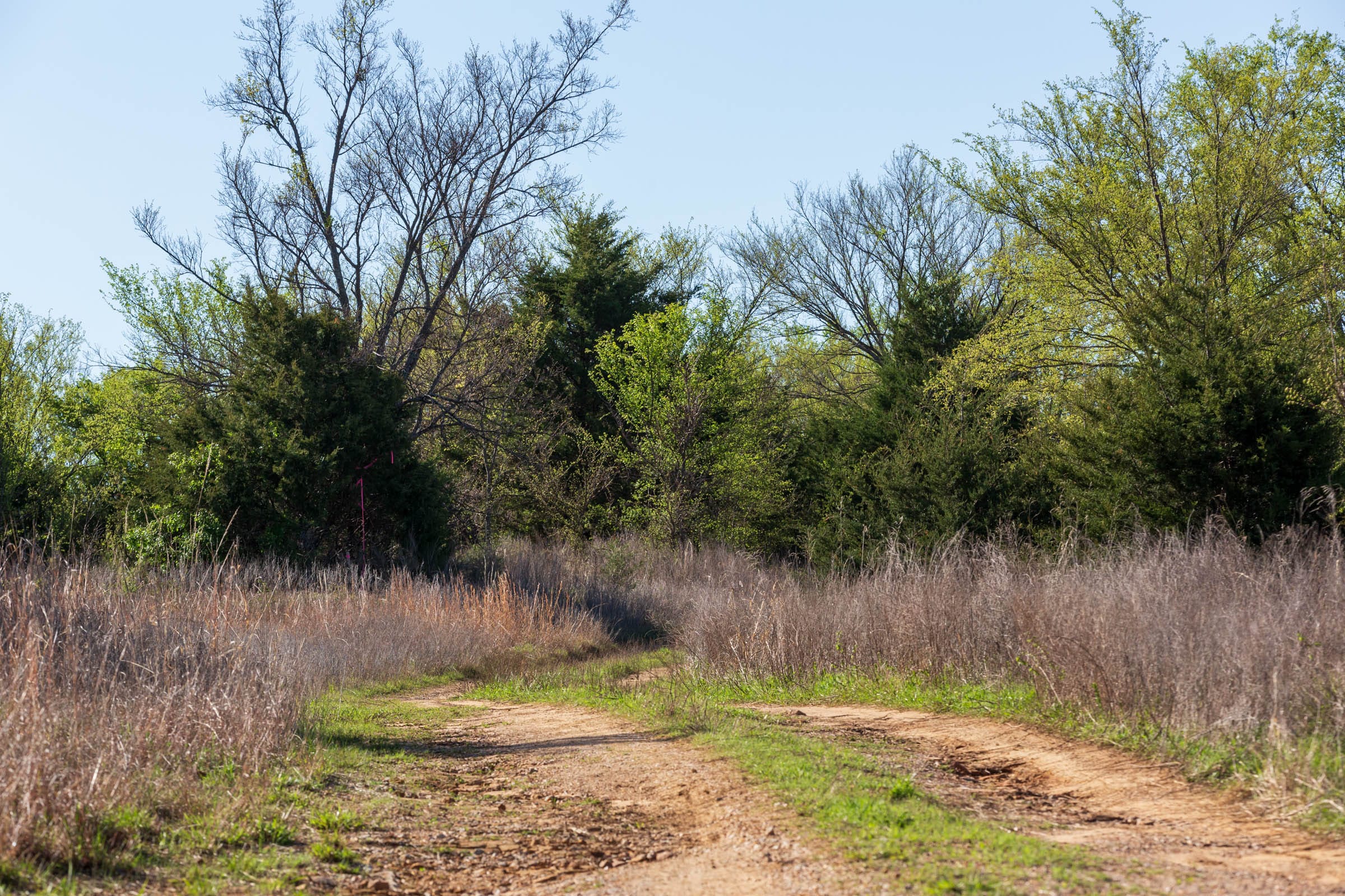 Prairie Grove Tract 6 photo 17