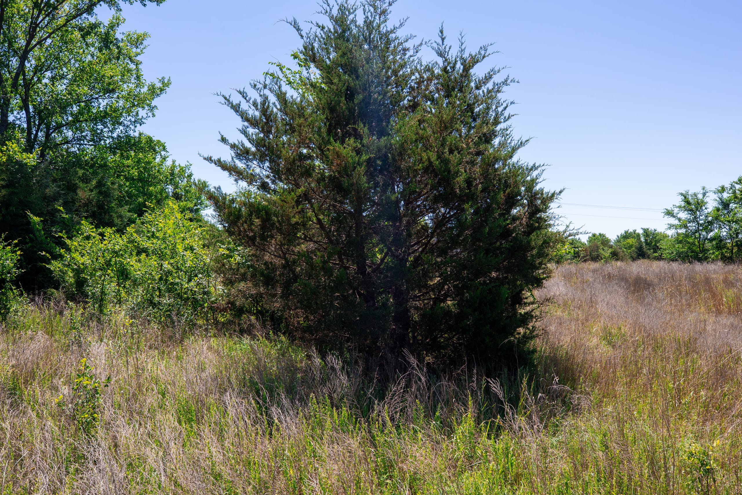 Prairie Grove Tract 6 photo 16