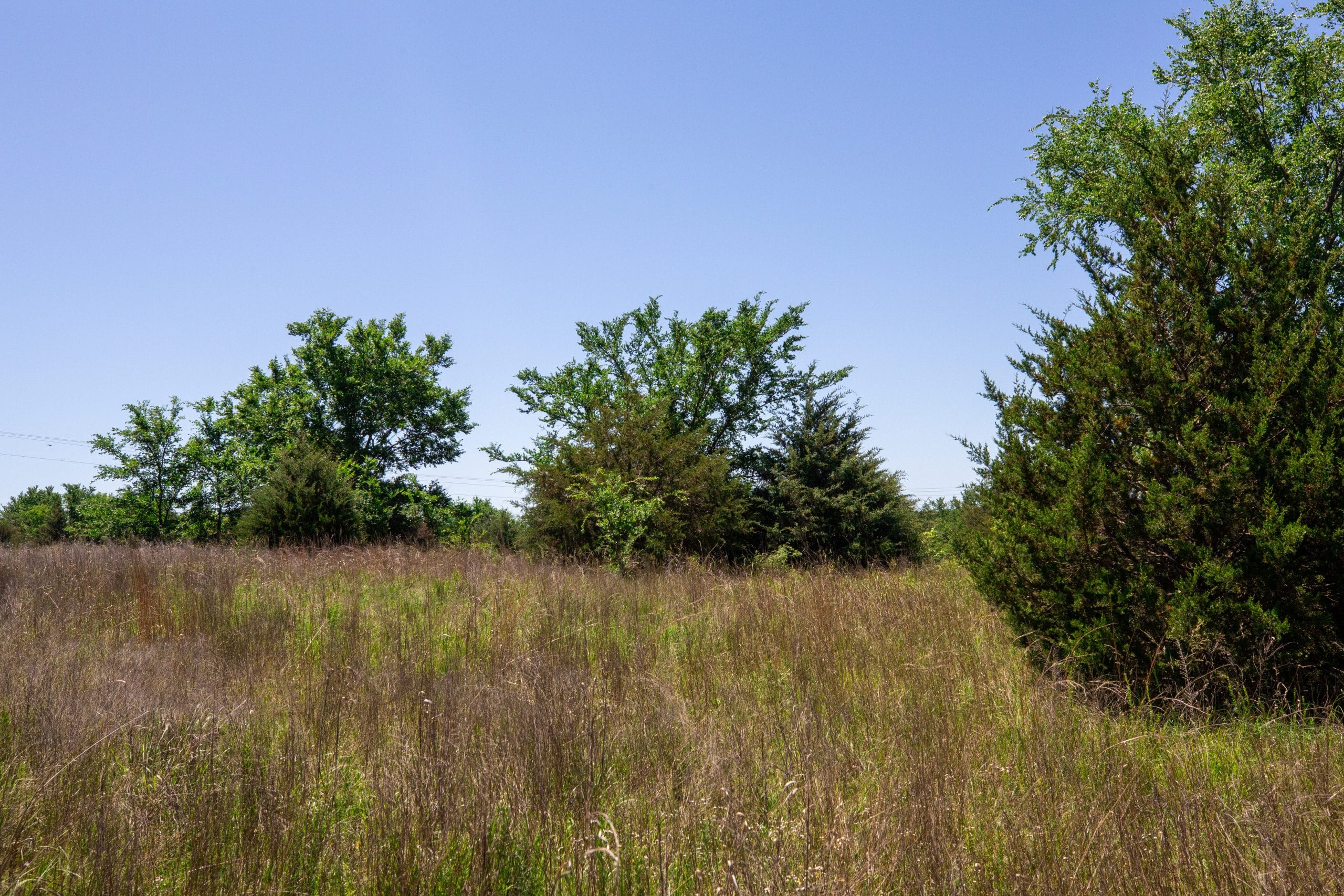 Prairie Grove Tract 6 photo 24