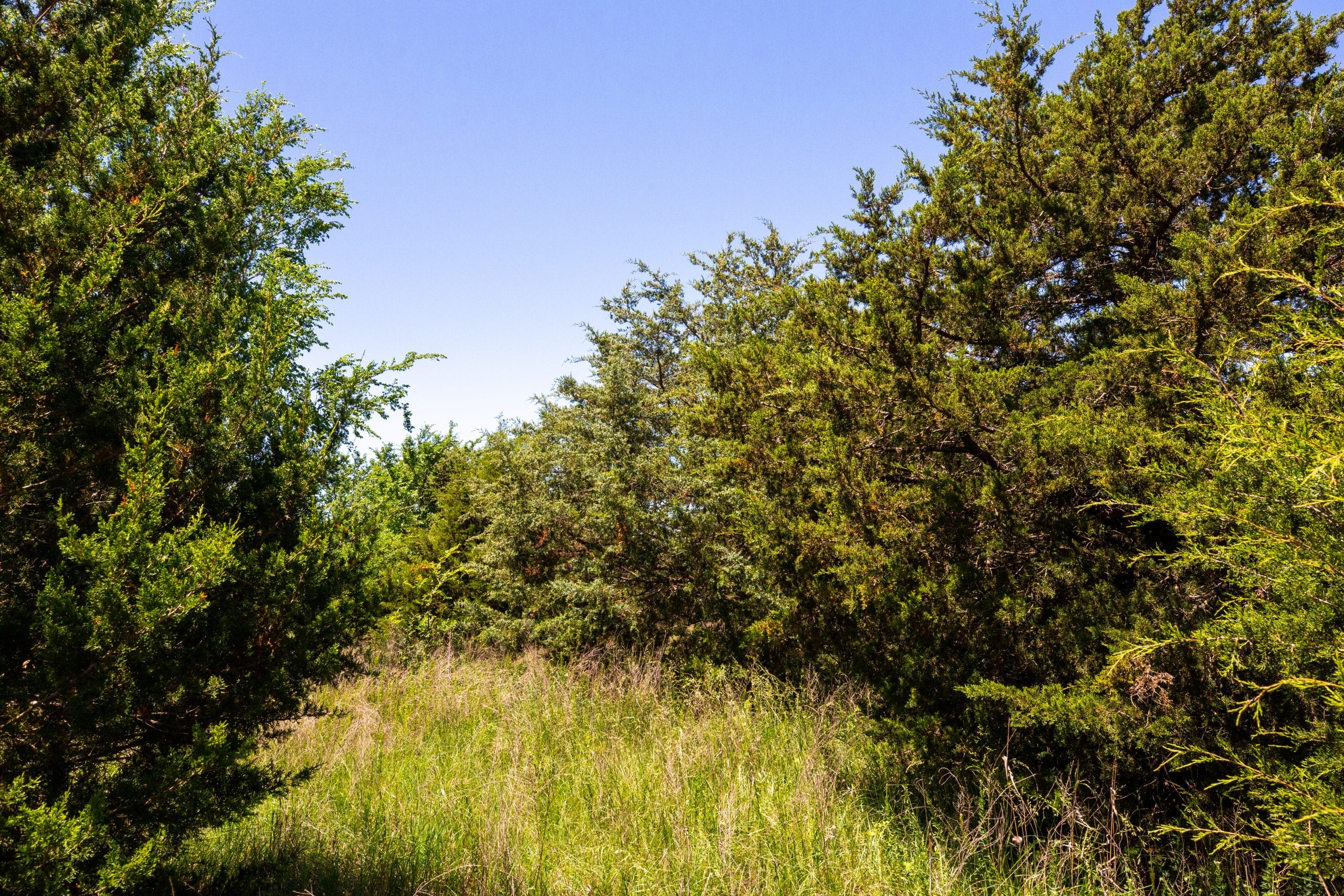 Prairie Grove Tract 6 photo 20
