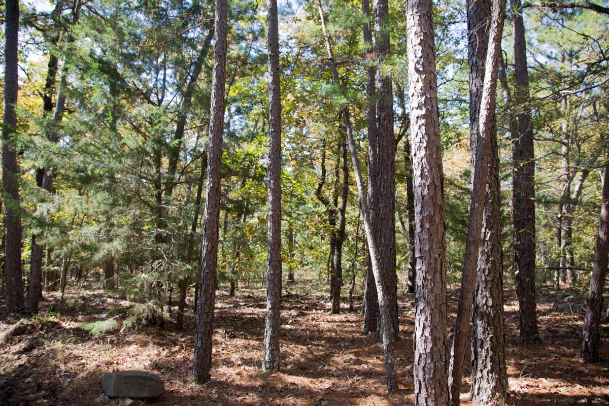 Stone Creek Phase I Tract 187 photo 12
