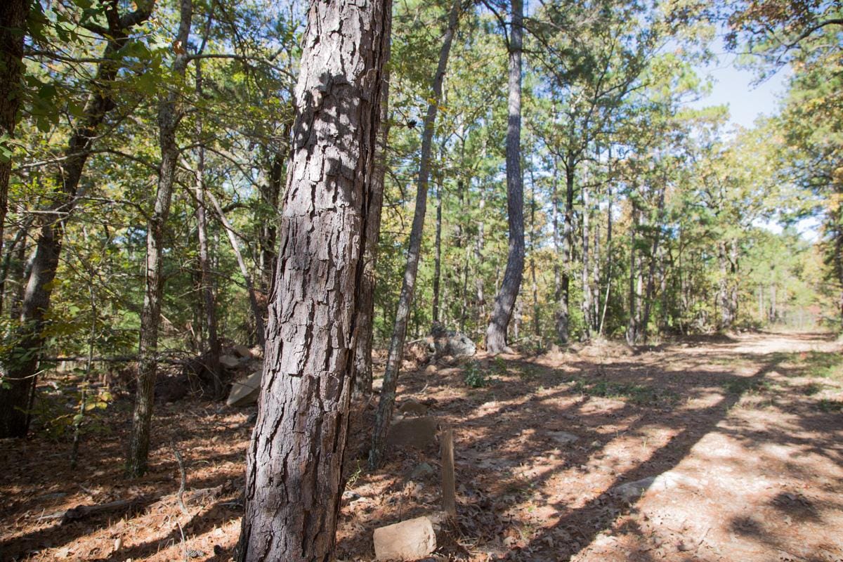 Stone Creek Phase I Tract 187 photo 13