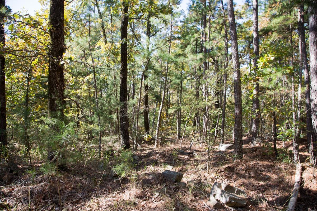 Stone Creek Phase I Tract 187 photo 15