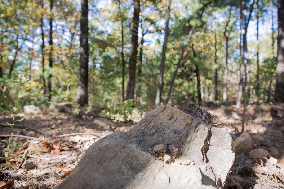 Stone Creek Phase I Tract 187 photo 17