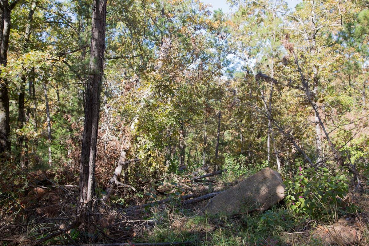 Stone Creek Phase I Tract 187 photo 18