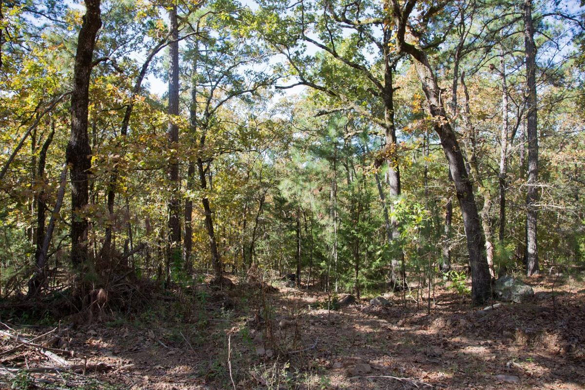Stone Creek Phase I Tract 187 photo 20