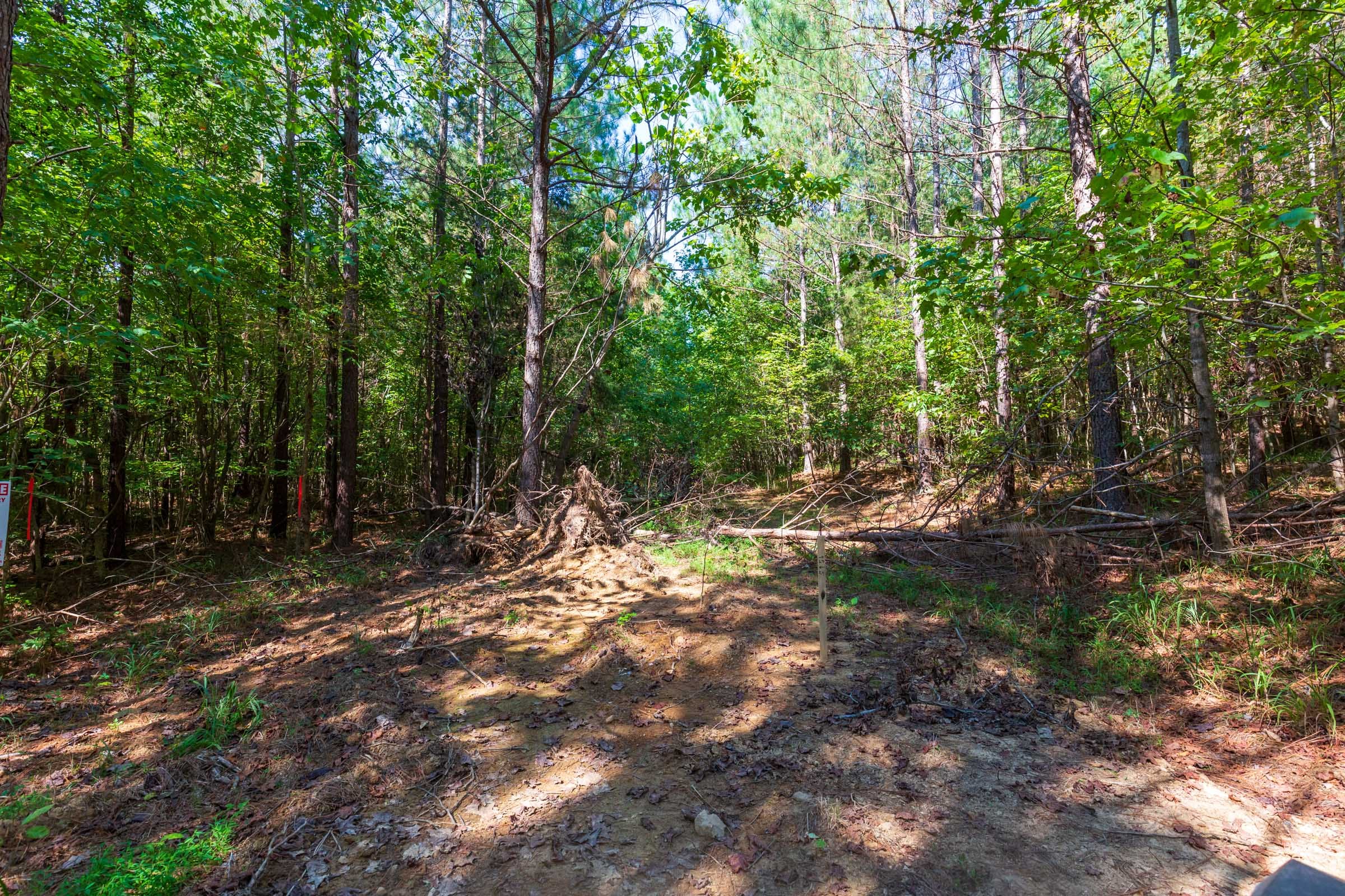 Redemption Ridge Tract 23 photo 5