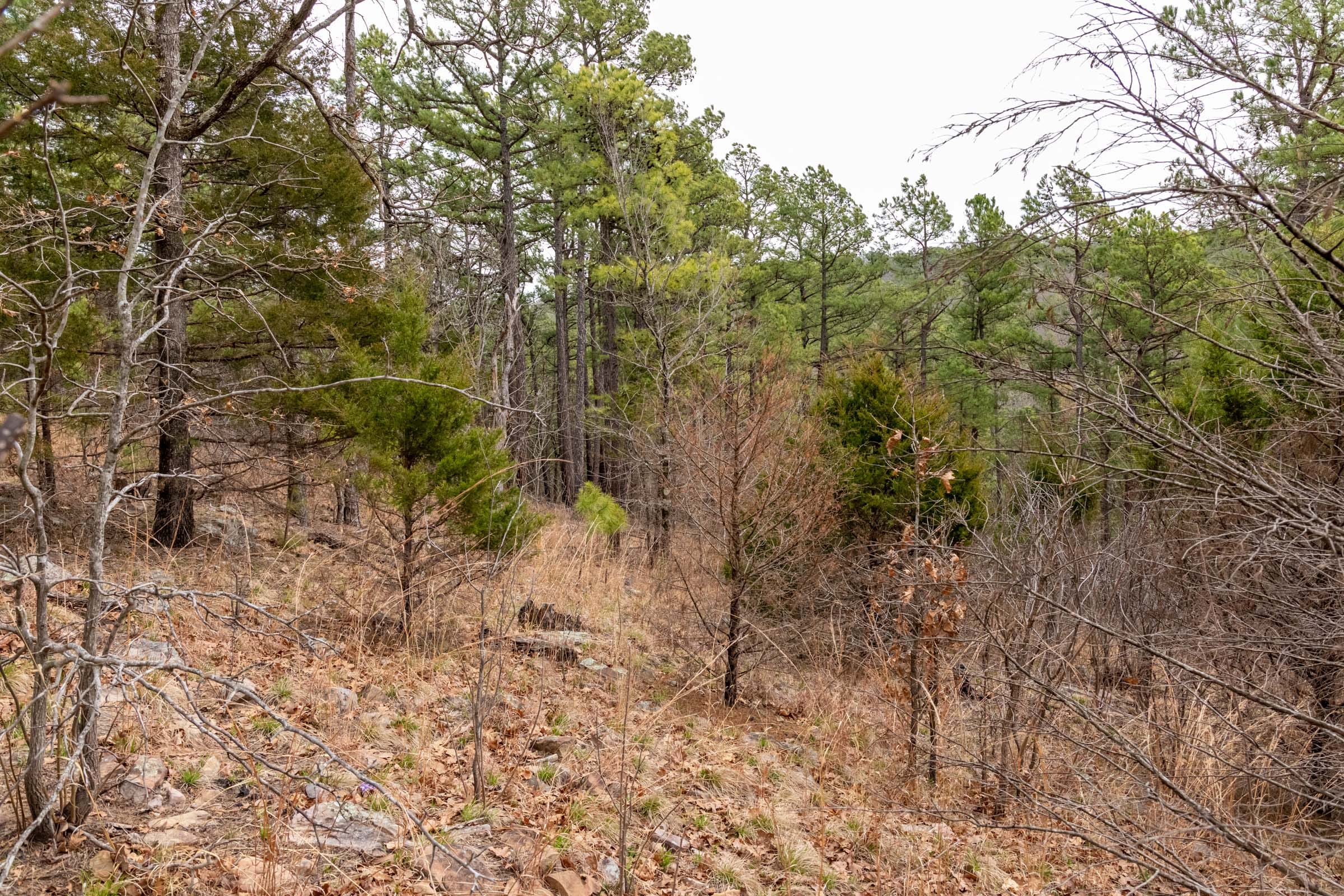 Stone Bridge Phase III Tract 202 photo 10
